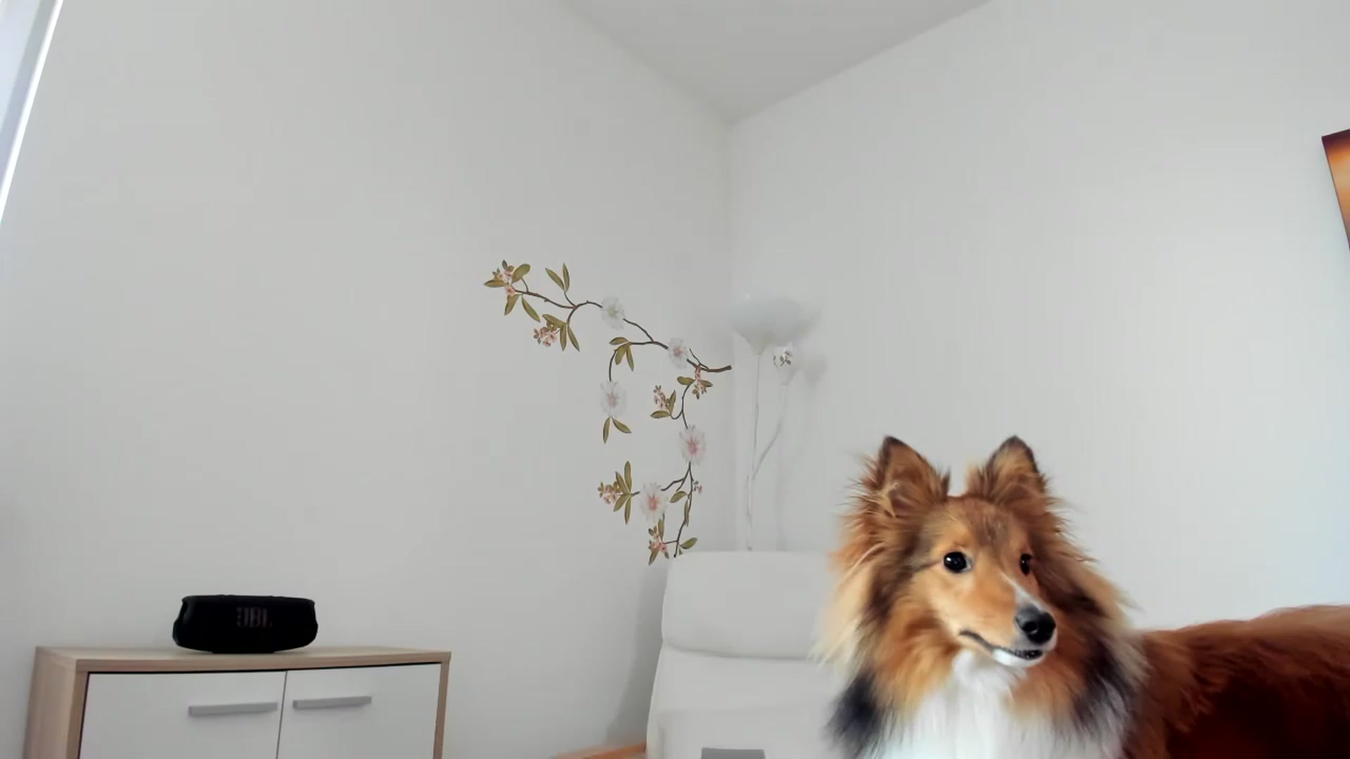 Gallery image thumbnail from Saandruskaa's myfreecams stream on, 04/29/2023, 14:20 image 8 of 20