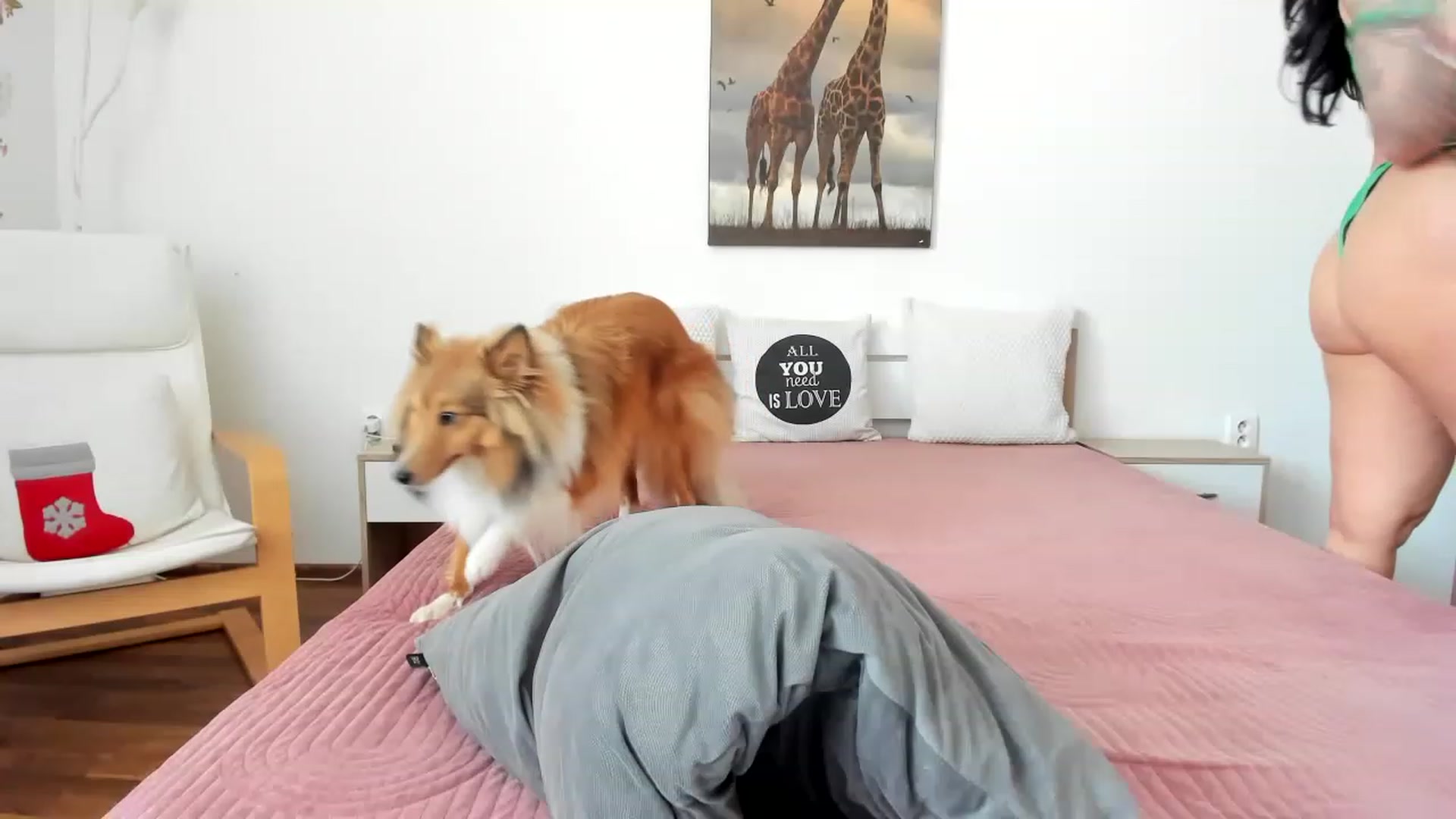 Gallery image thumbnail from Saandruskaa's myfreecams stream on, 05/13/2023, 13:02 image 10 of 20