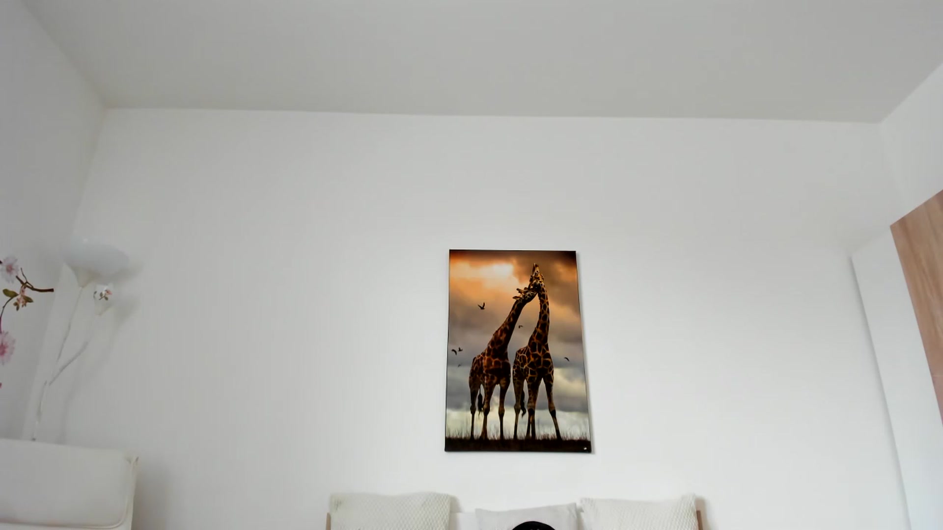 Gallery image thumbnail from Saandruskaa's myfreecams stream on, 05/14/2023, 13:33 image 13 of 20