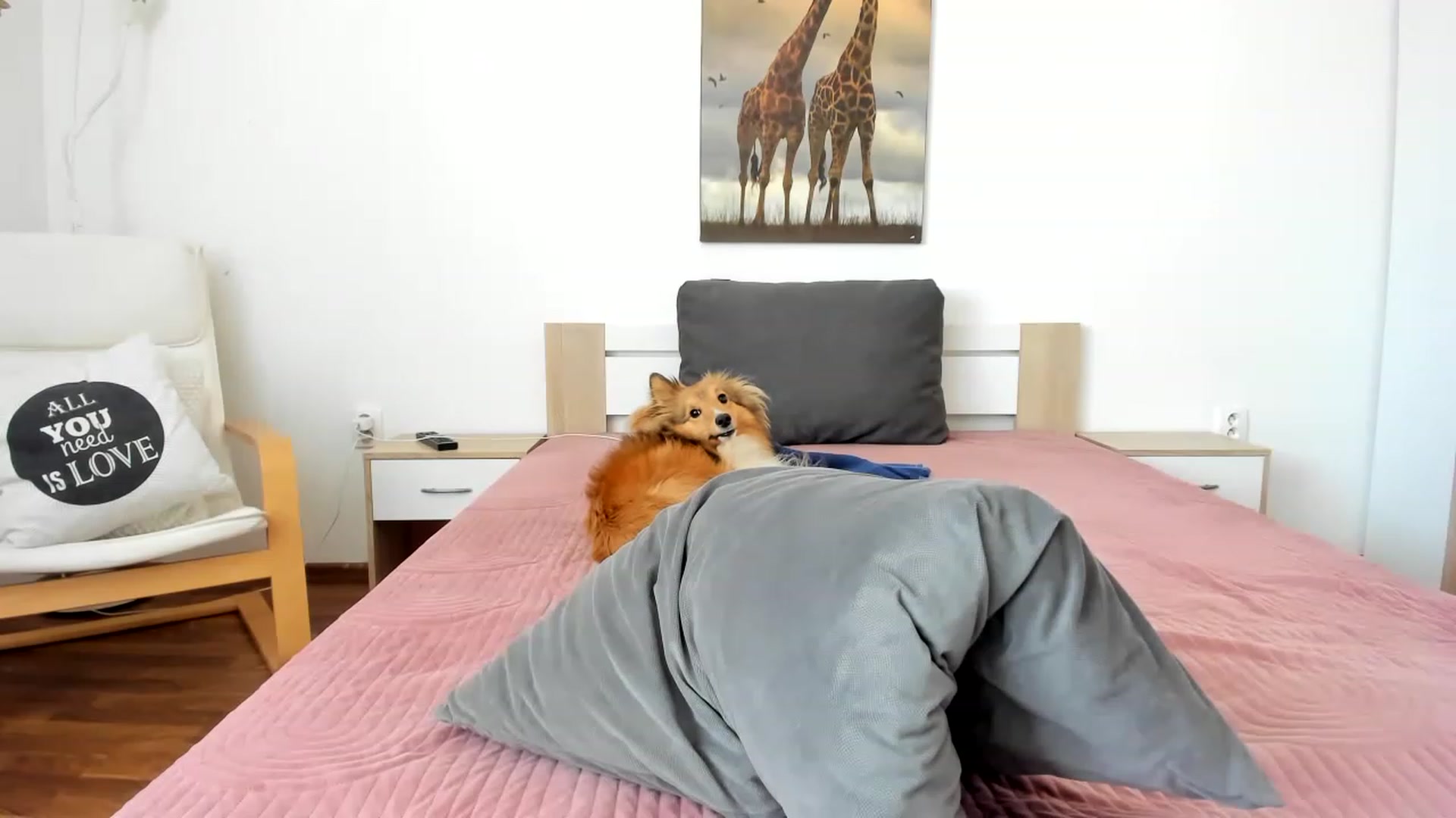 Gallery image thumbnail from Saandruskaa's myfreecams stream on, 06/18/2023, 09:17 image 7 of 20