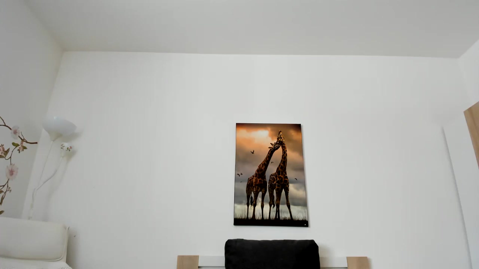 Gallery image thumbnail from Saandruskaa's myfreecams stream on, 06/18/2023, 10:29 image 19 of 20