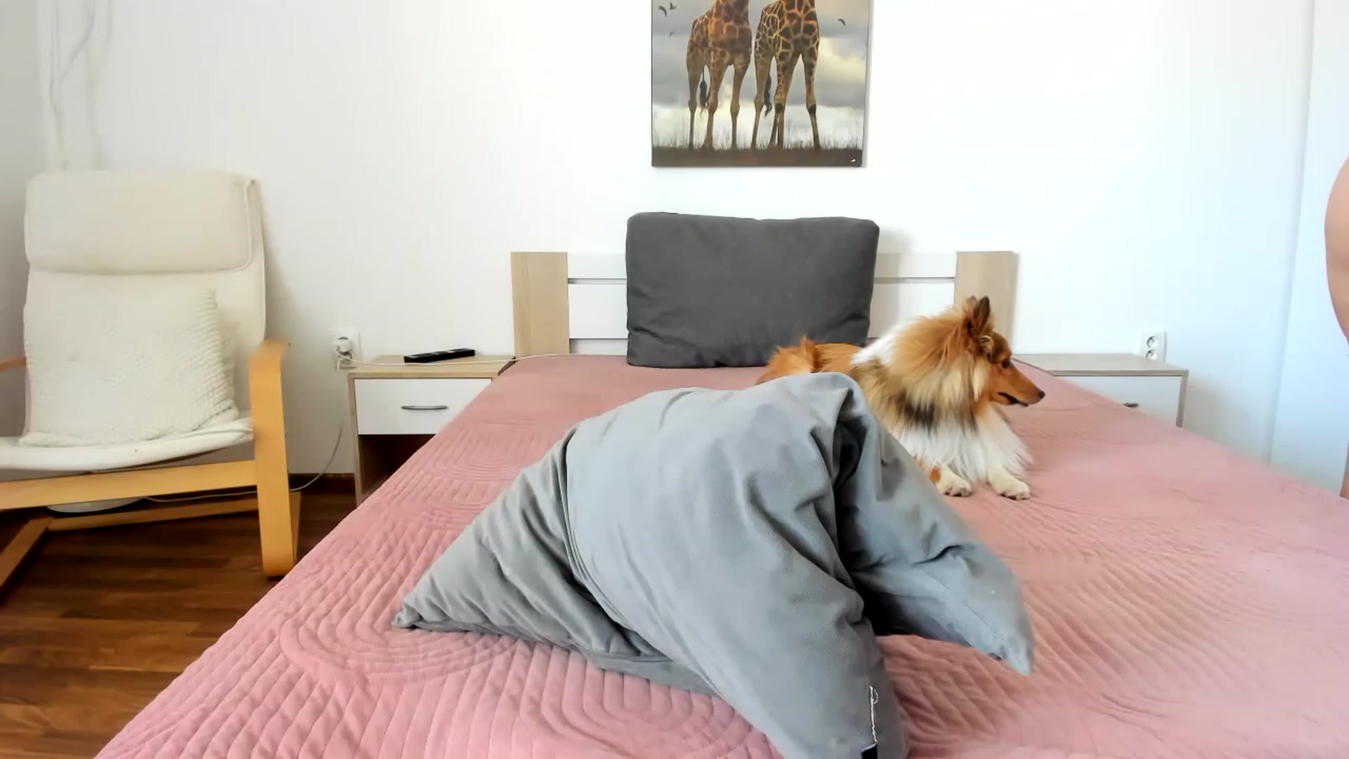 Gallery image thumbnail from Saandruskaa's myfreecams stream on, 06/28/2023, 09:59 image 3 of 20
