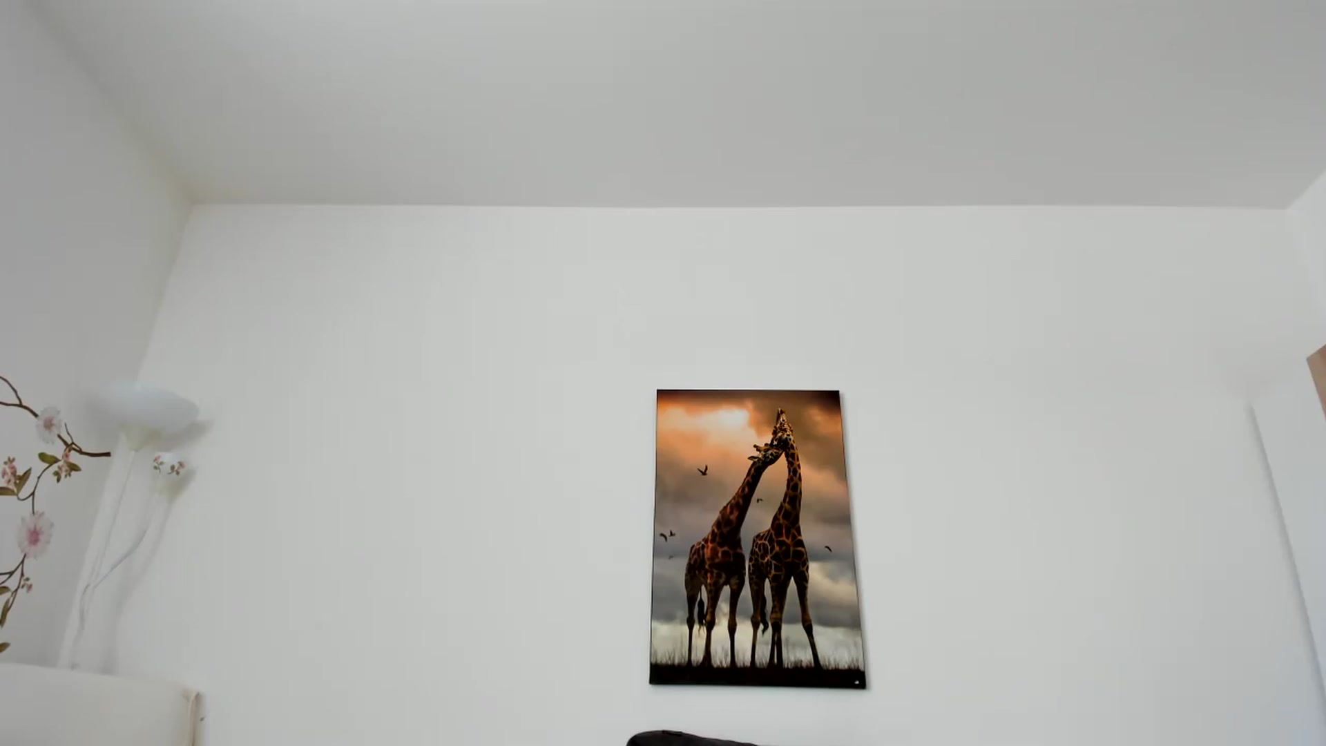 Gallery image thumbnail from Saandruskaa's myfreecams stream on, 06/30/2023, 11:30 image 8 of 20