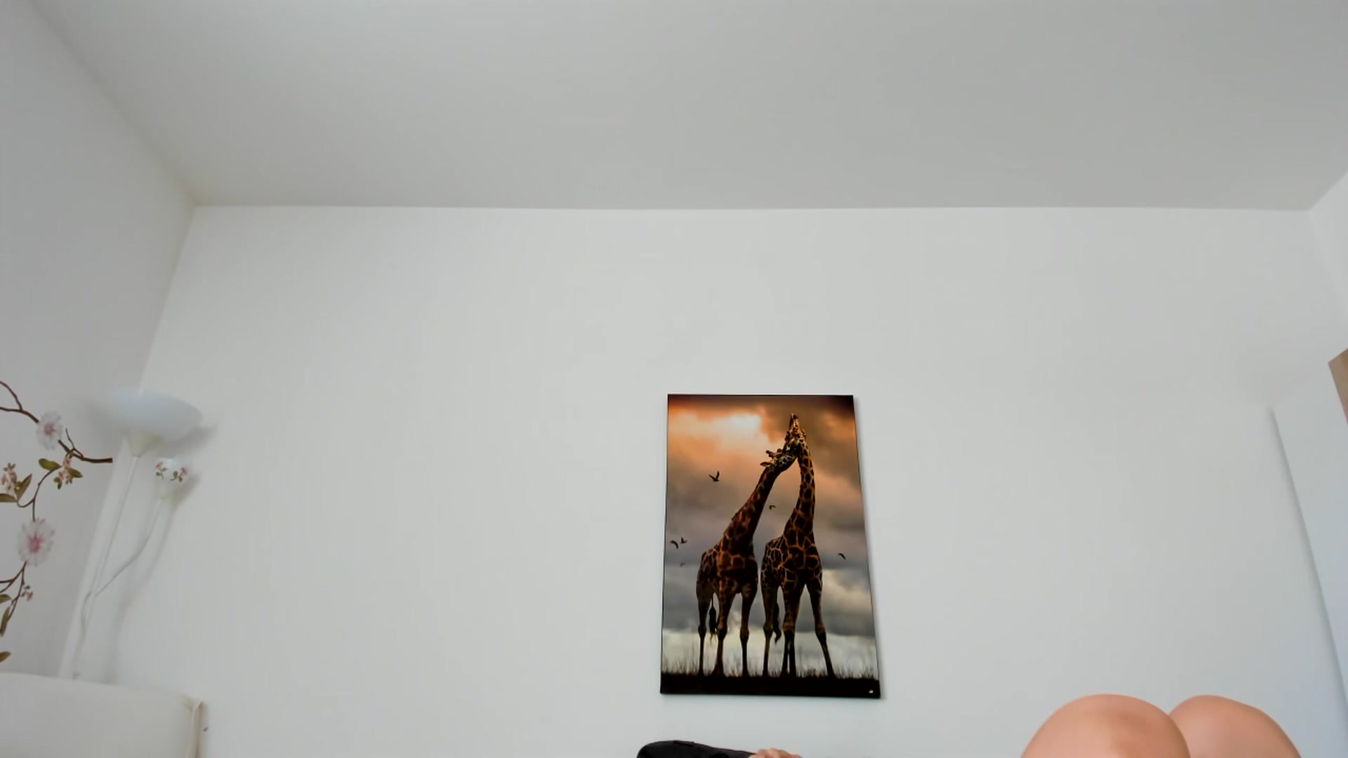 Gallery image thumbnail from Saandruskaa's myfreecams stream on, 06/30/2023, 11:30 image 4 of 20