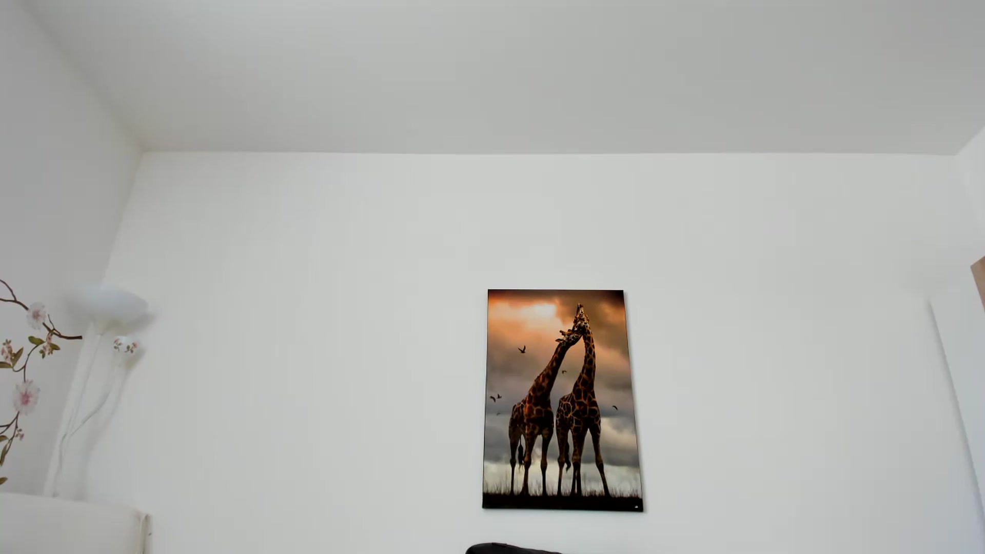 Gallery image thumbnail from Saandruskaa's myfreecams stream on, 06/30/2023, 11:30 image 11 of 20
