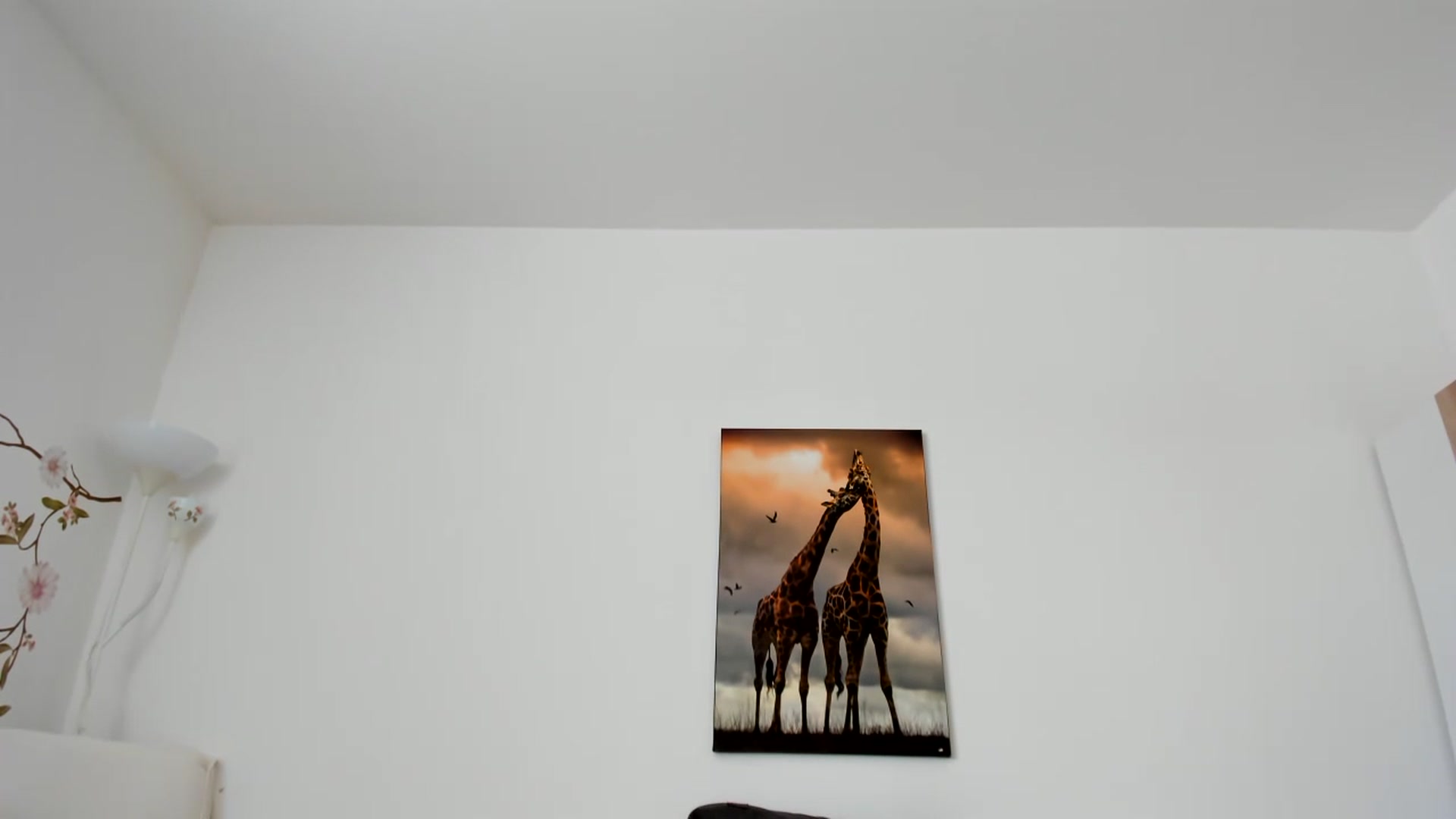 Gallery image thumbnail from Saandruskaa's myfreecams stream on, 06/30/2023, 11:30 image 7 of 20