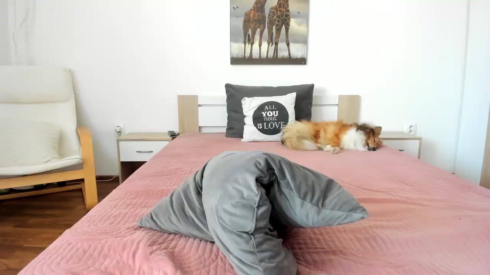 Gallery image thumbnail from Saandruskaa's myfreecams stream on, 07/22/2023, 10:12 image 20 of 20