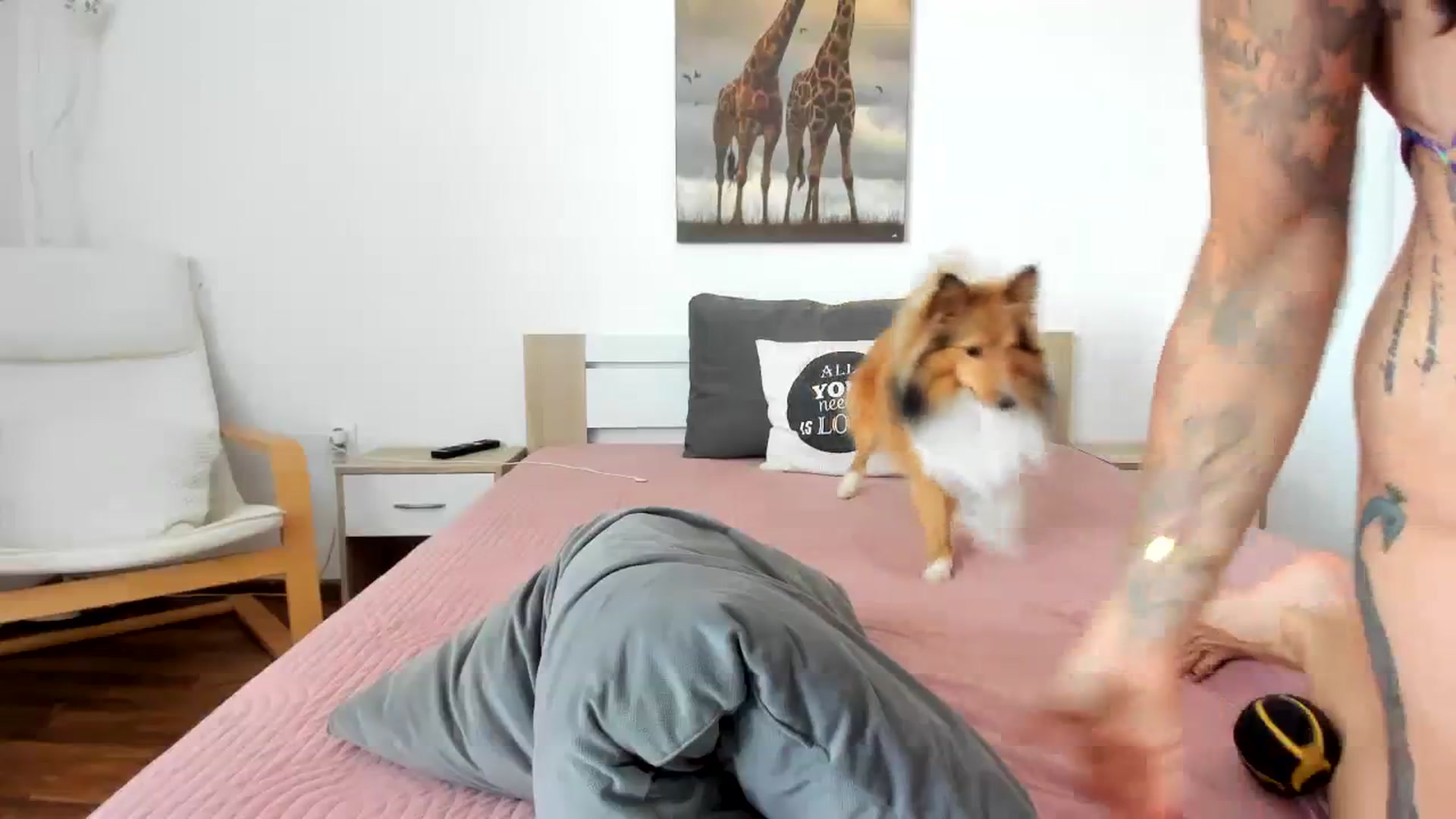 Gallery image thumbnail from Saandruskaa's myfreecams stream on, 07/29/2023, 11:10 image 16 of 20