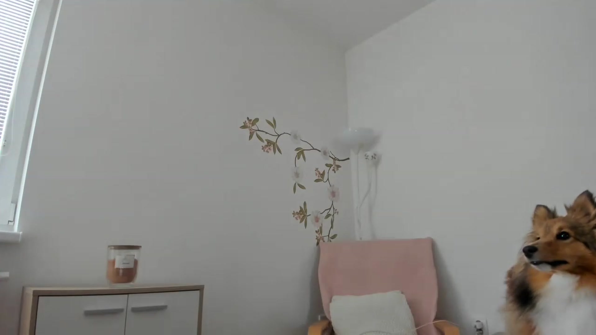Gallery image thumbnail from Saandruskaa's myfreecams stream on, 08/05/2023, 15:12 image 16 of 20