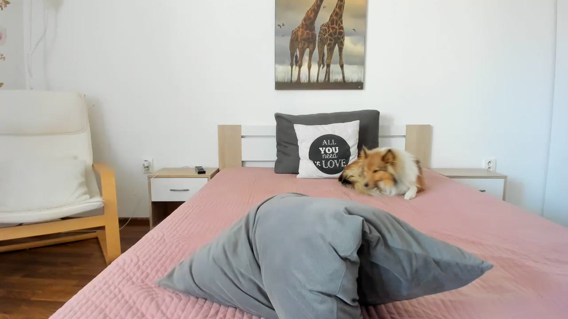 Gallery image thumbnail from Saandruskaa's myfreecams stream on, 08/13/2023, 09:32 image 11 of 20