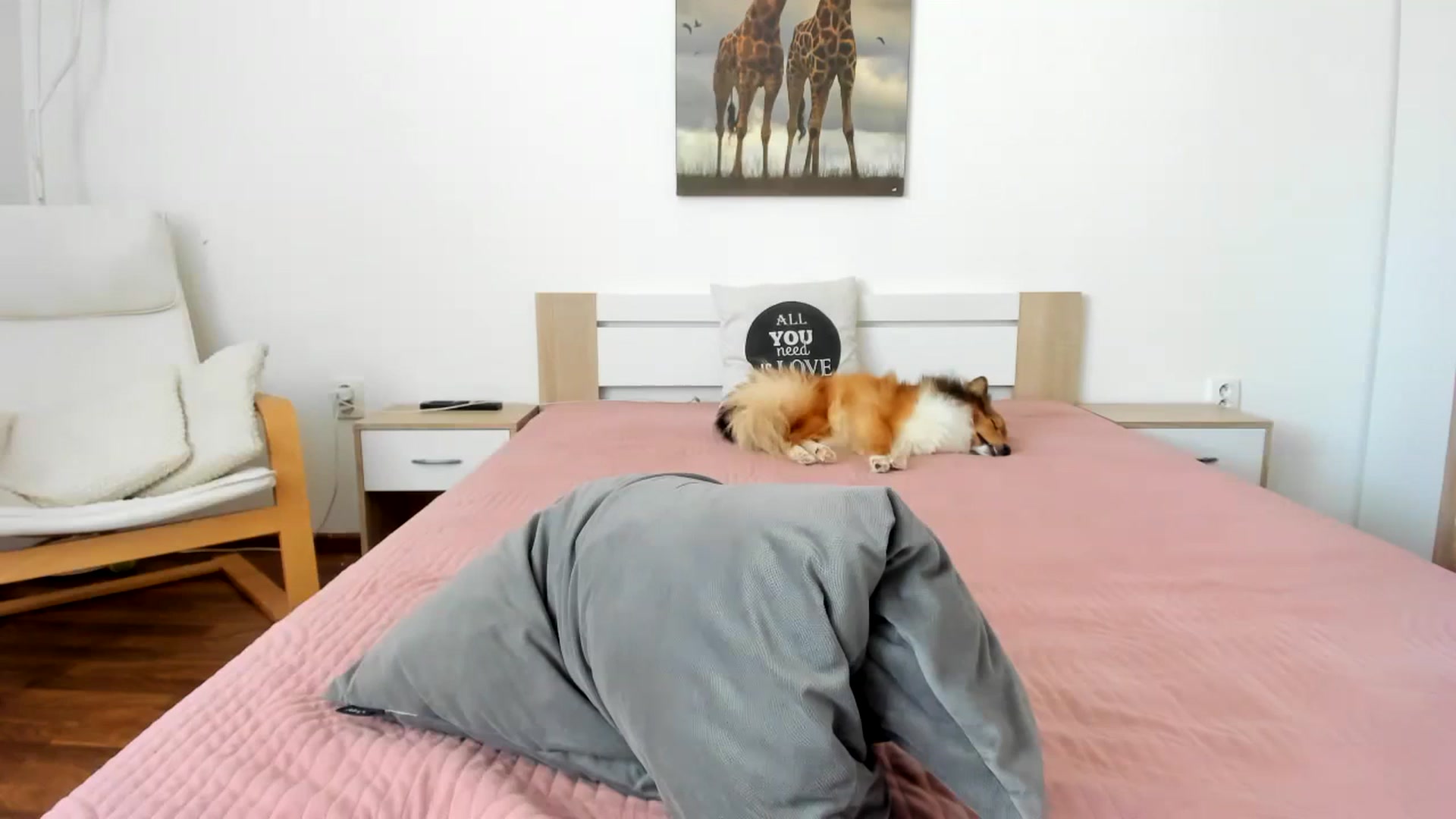 Gallery image thumbnail from Saandruskaa's myfreecams stream on, 08/31/2023, 09:39 image 11 of 20