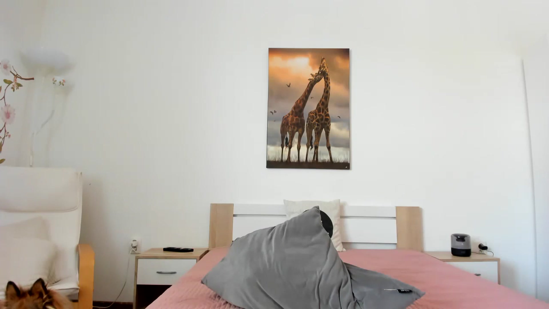 Gallery image thumbnail from Saandruskaa's myfreecams stream on, 09/03/2023, 12:46 image 10 of 20