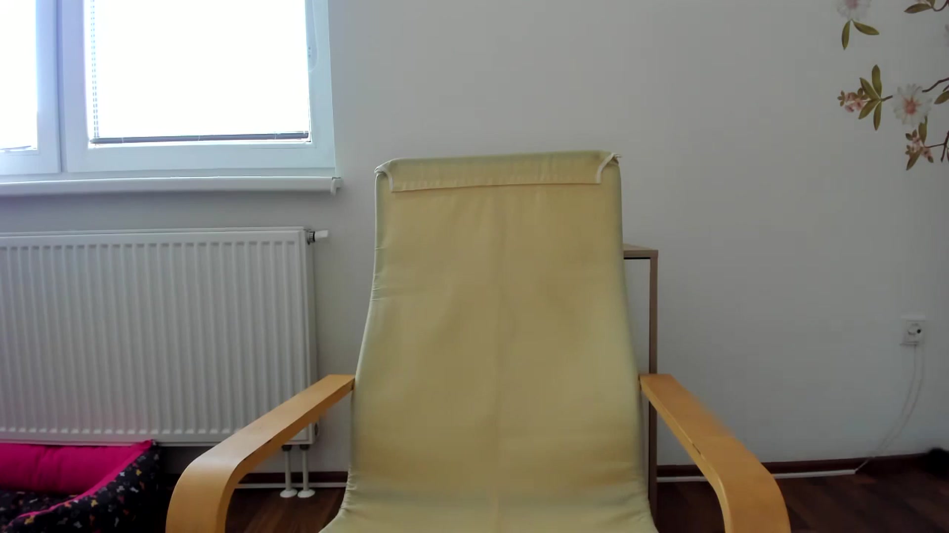 Gallery image thumbnail from Saandruskaa's myfreecams stream on, 09/16/2023, 11:54 image 13 of 20