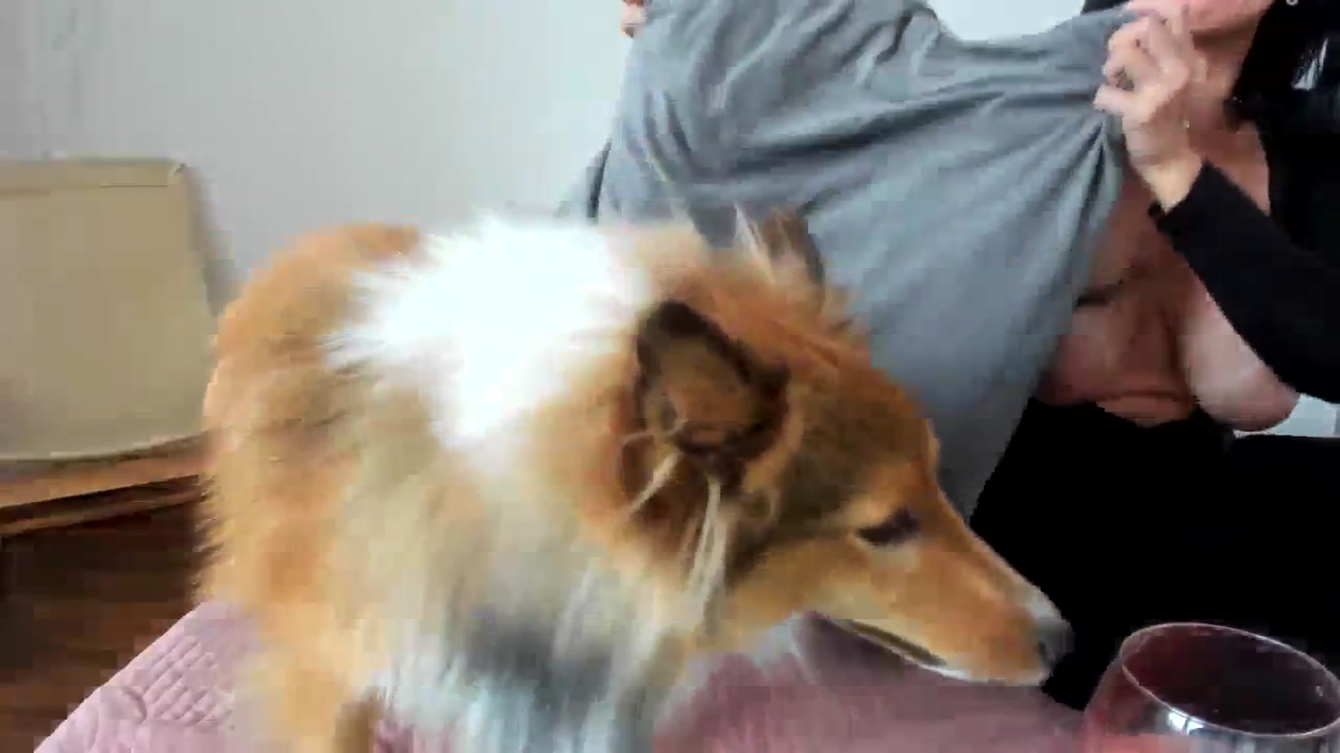 Gallery image thumbnail from Saandruskaa's myfreecams stream on, 09/30/2023, 12:37 image 8 of 20