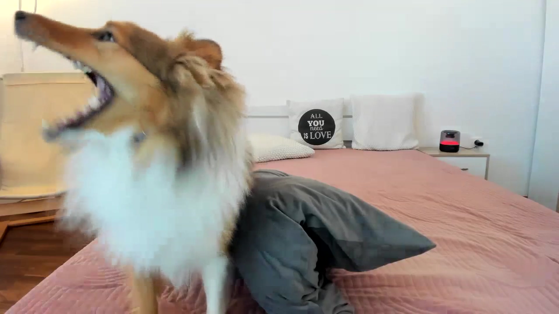 Gallery image thumbnail from Saandruskaa's myfreecams stream on, 10/08/2023, 14:20 image 12 of 20