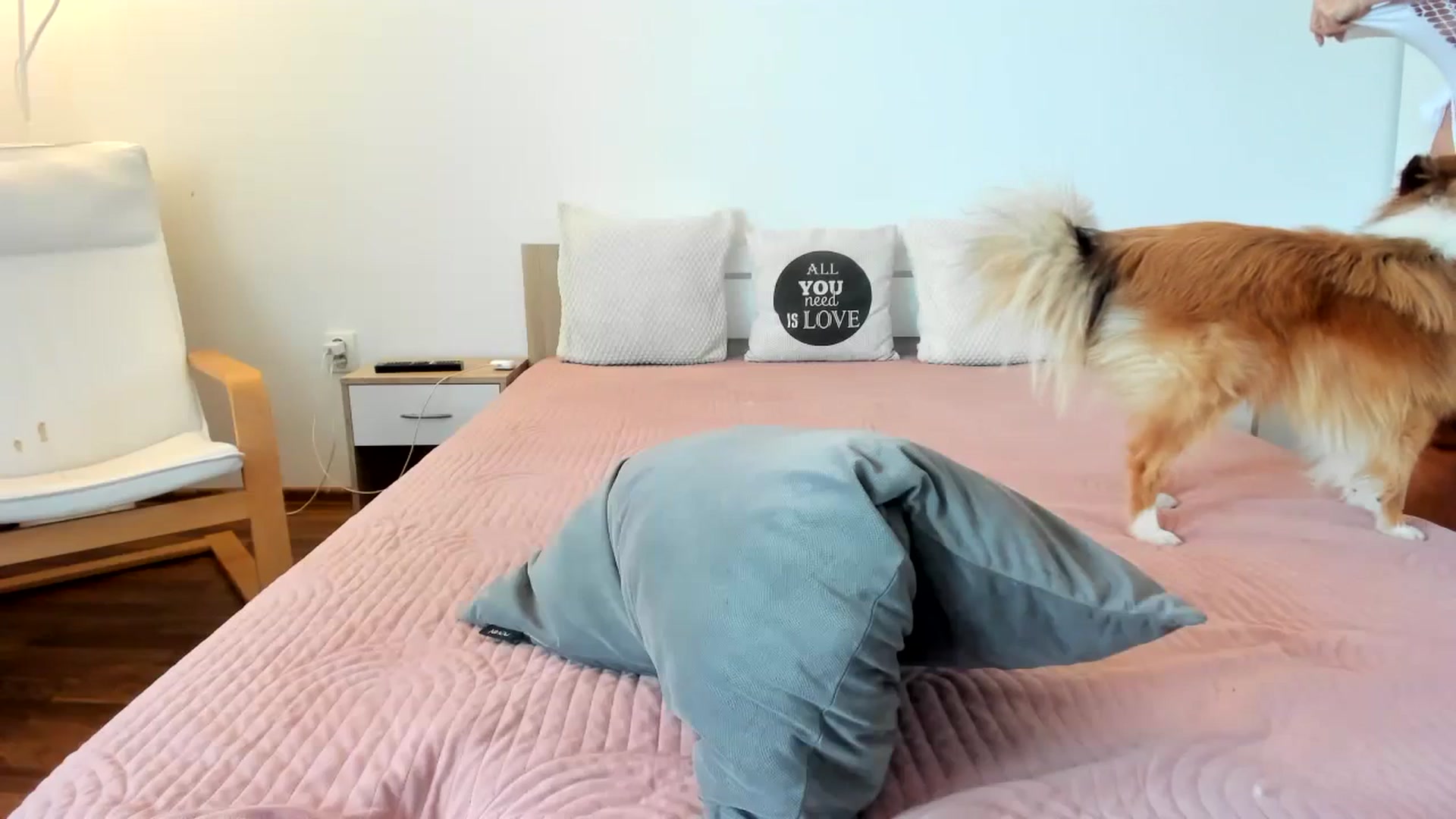 Gallery image thumbnail from Saandruskaa's myfreecams stream on, 10/12/2023, 13:12 image 9 of 20