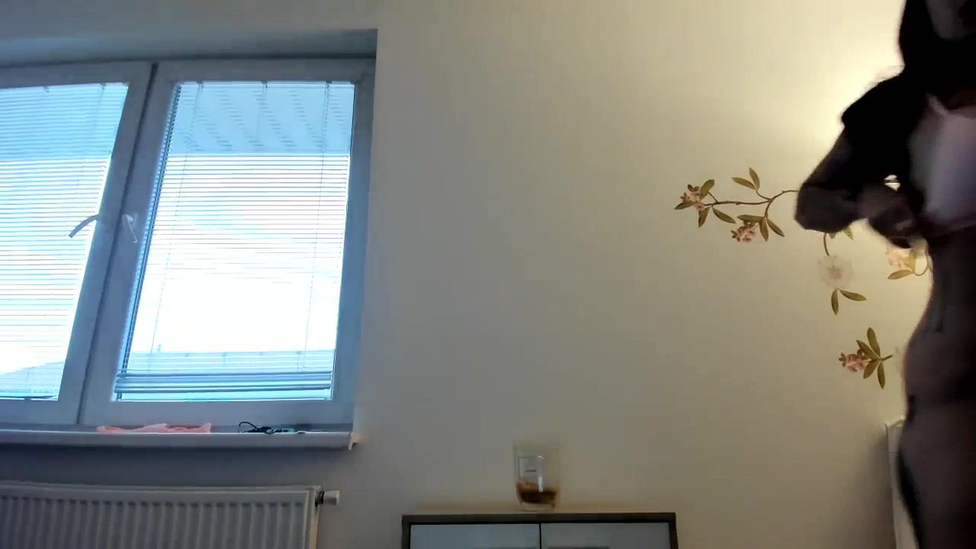 Gallery image thumbnail from Saandruskaa's myfreecams stream on, 10/20/2023, 14:46 image 9 of 20