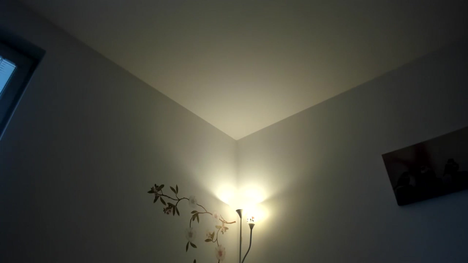 Gallery image thumbnail from Saandruskaa's myfreecams stream on, 10/24/2023, 14:03 image 1 of 20