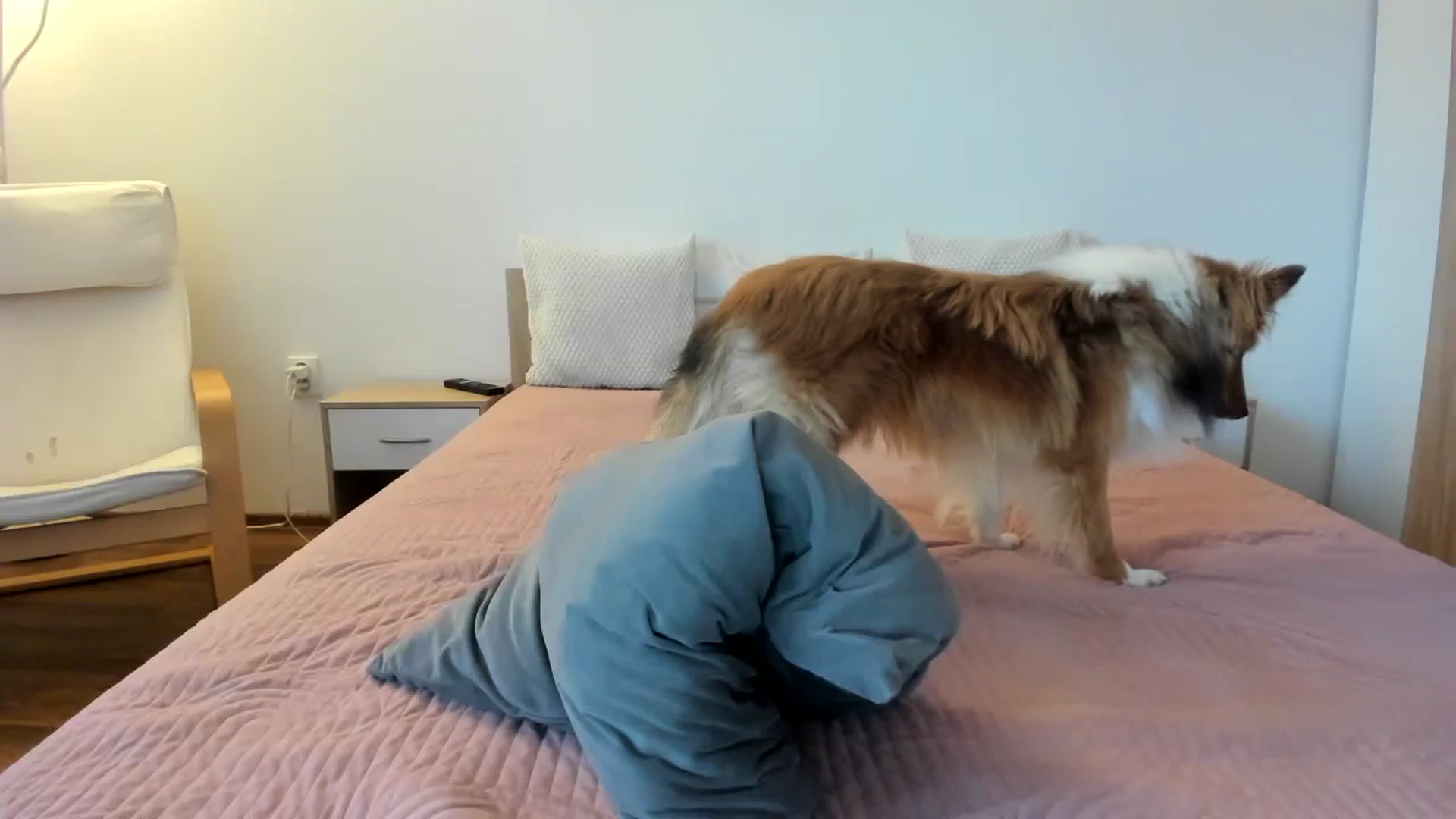 Gallery image thumbnail from Saandruskaa's myfreecams stream on, 11/08/2023, 13:44 image 18 of 20