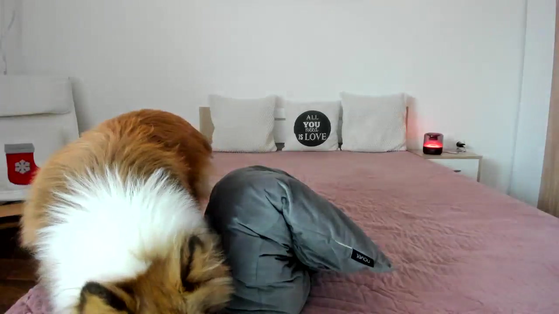 Gallery image thumbnail from Saandruskaa's myfreecams stream on, 11/19/2023, 11:02 image 16 of 20