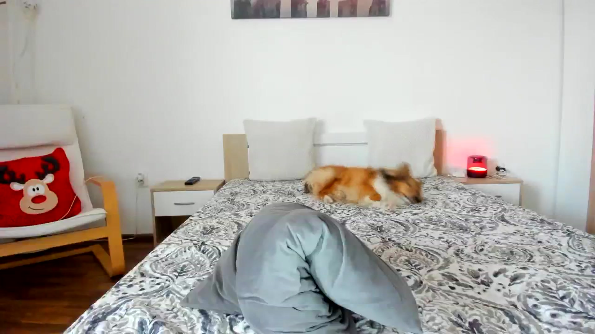 Gallery image thumbnail from Saandruskaa's myfreecams stream on, 11/21/2023, 14:17 image 8 of 20