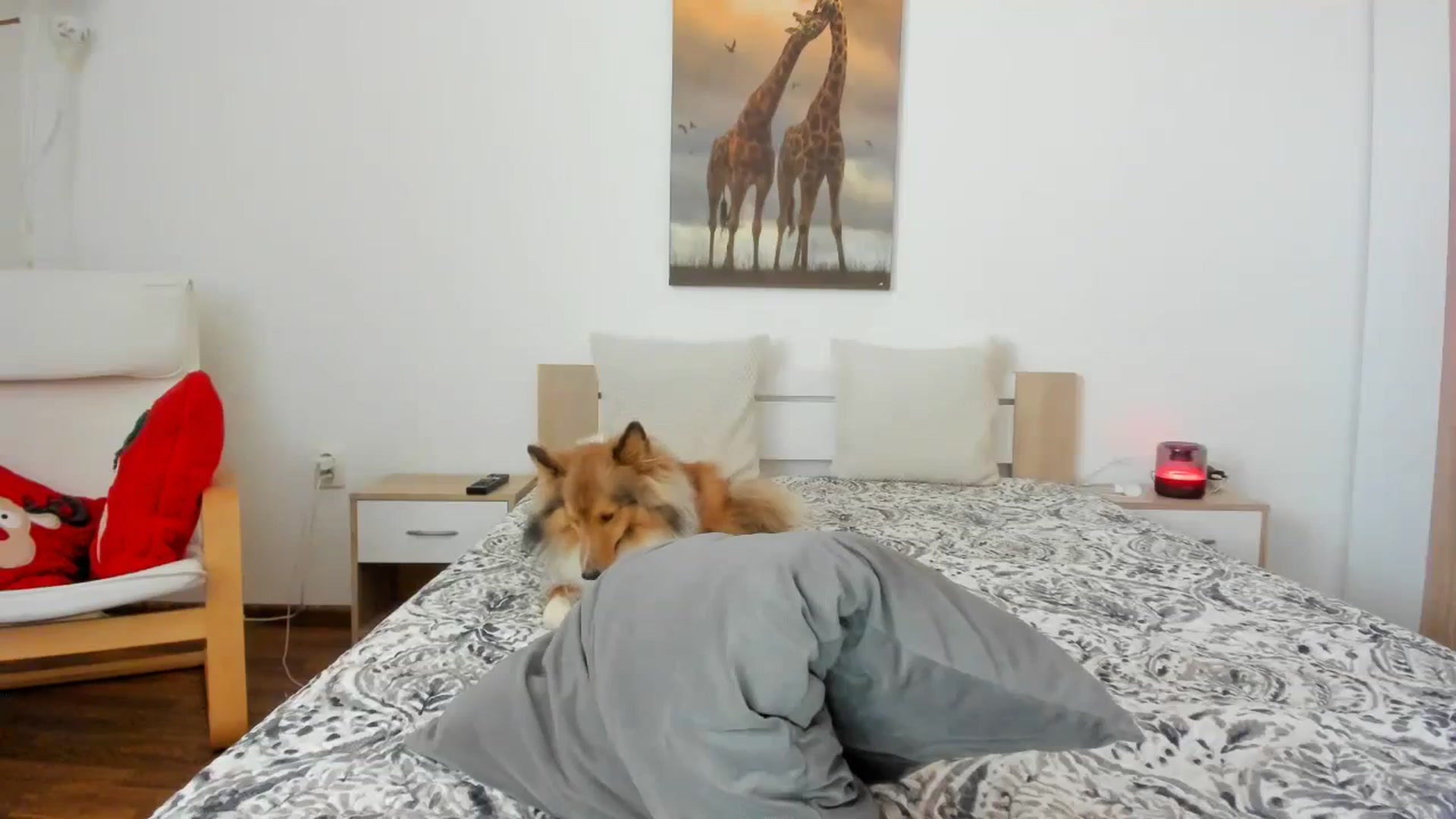 Gallery image thumbnail from Saandruskaa's myfreecams stream on, 11/25/2023, 12:22 image 17 of 20