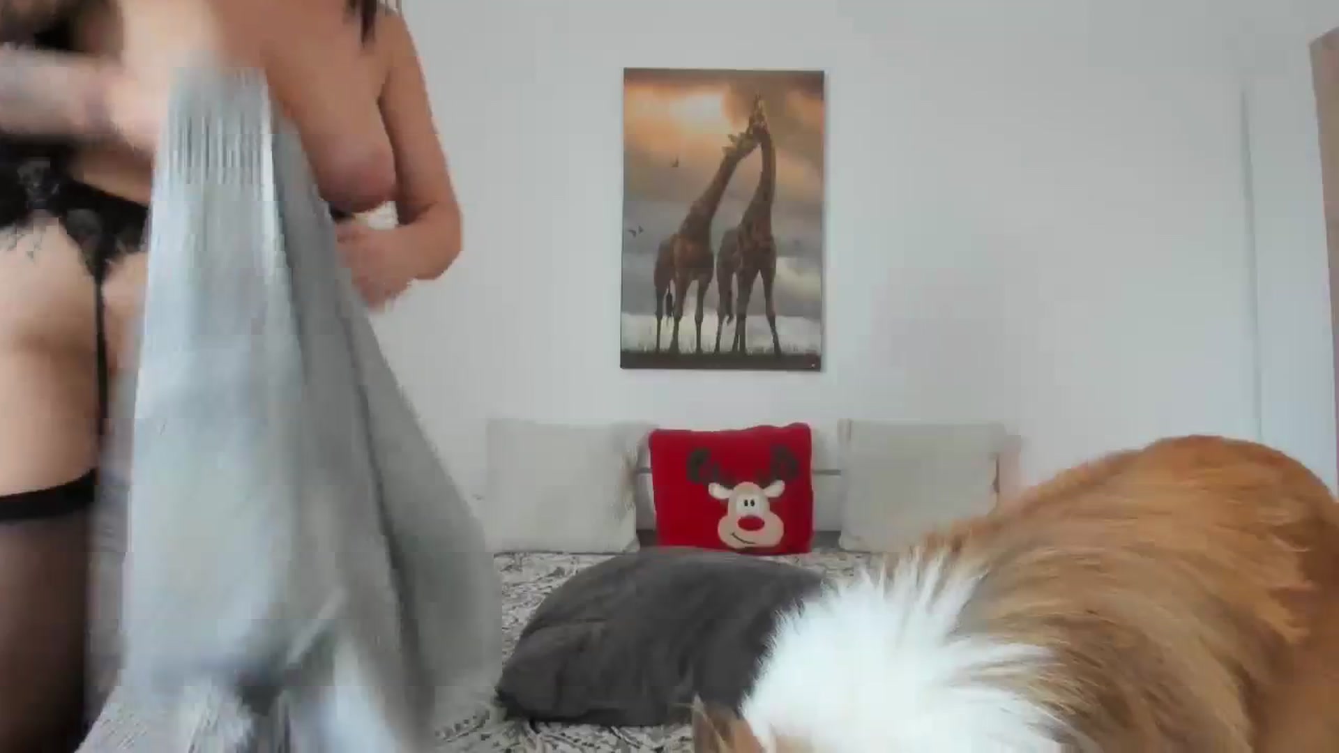 Gallery image thumbnail from Saandruskaa's myfreecams stream on, 11/29/2023, 12:09 image 10 of 20
