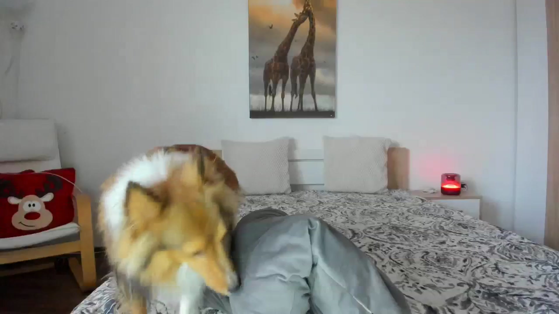 Gallery image thumbnail from Saandruskaa's myfreecams stream on, 12/01/2023, 14:47 image 12 of 20