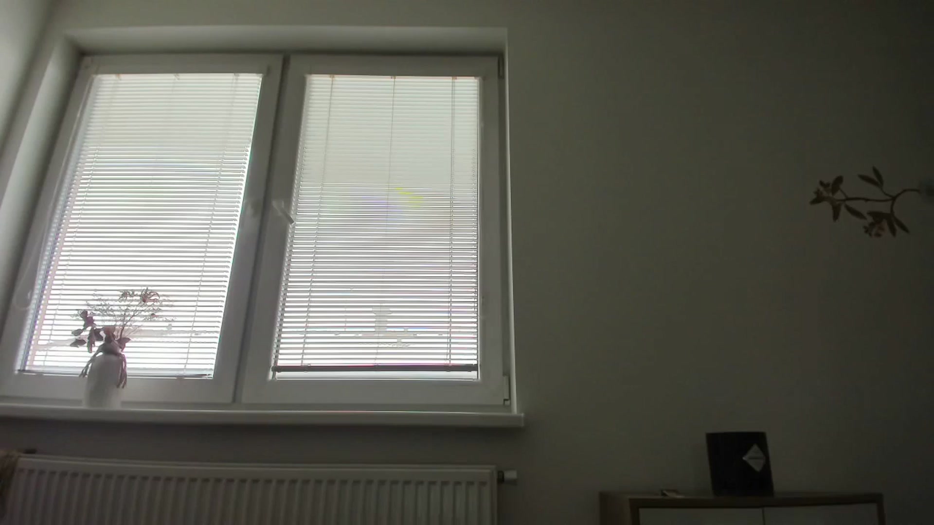 Gallery image thumbnail from Saandruskaa's myfreecams stream on, 12/08/2023, 13:06 image 13 of 20