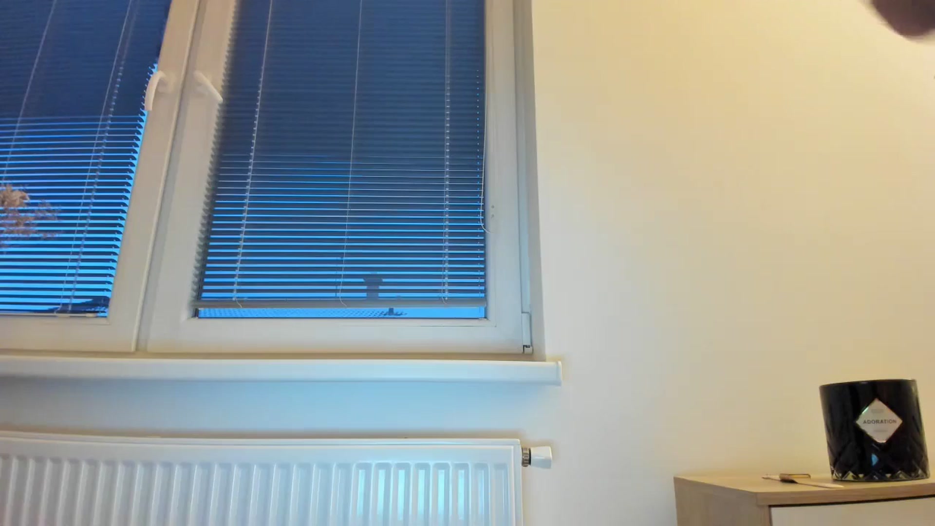 Gallery image thumbnail from Saandruskaa's myfreecams stream on, 12/08/2023, 15:20 image 20 of 20