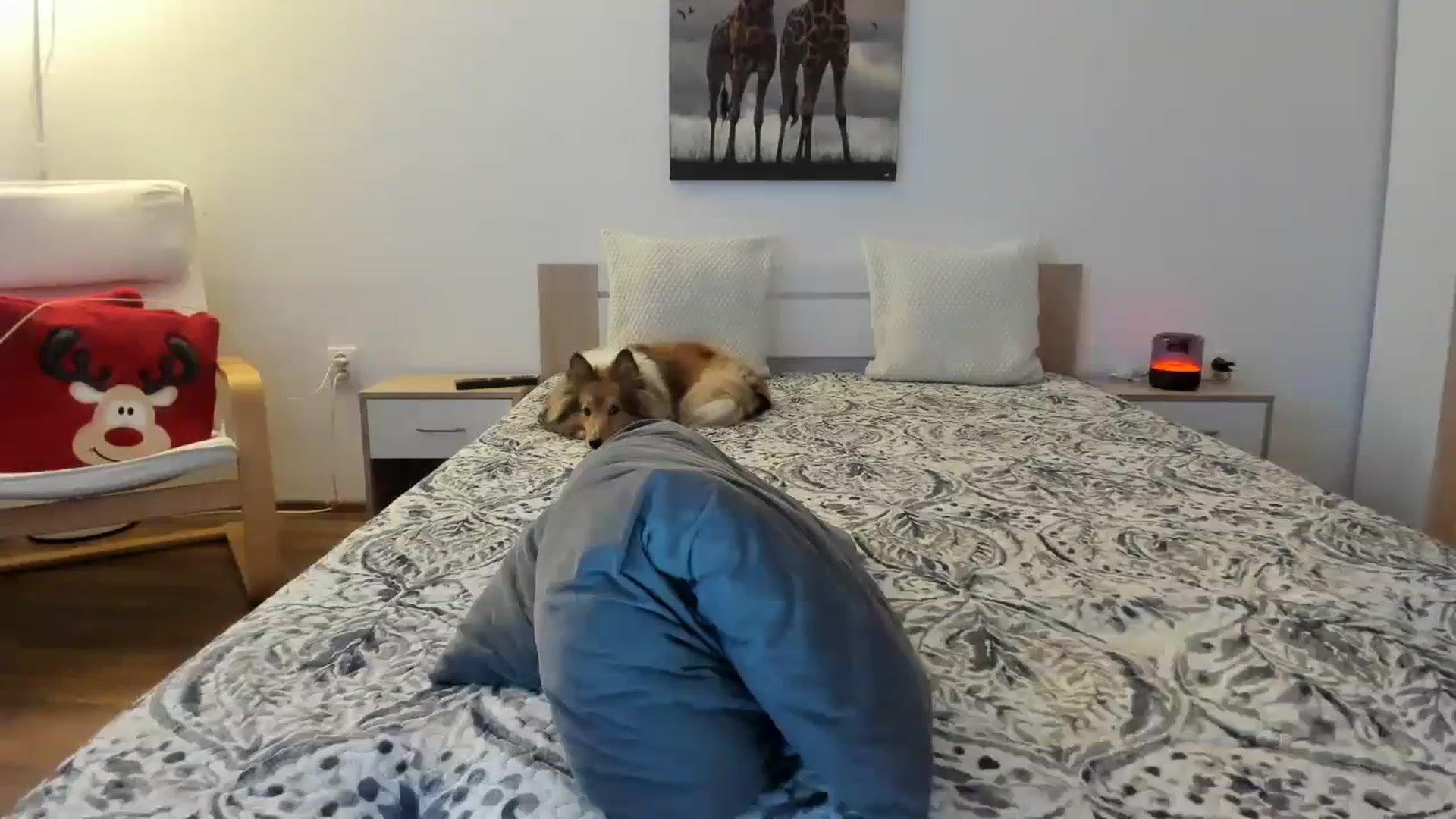 Gallery image thumbnail from Saandruskaa's myfreecams stream on, 12/08/2023, 15:20 image 3 of 20