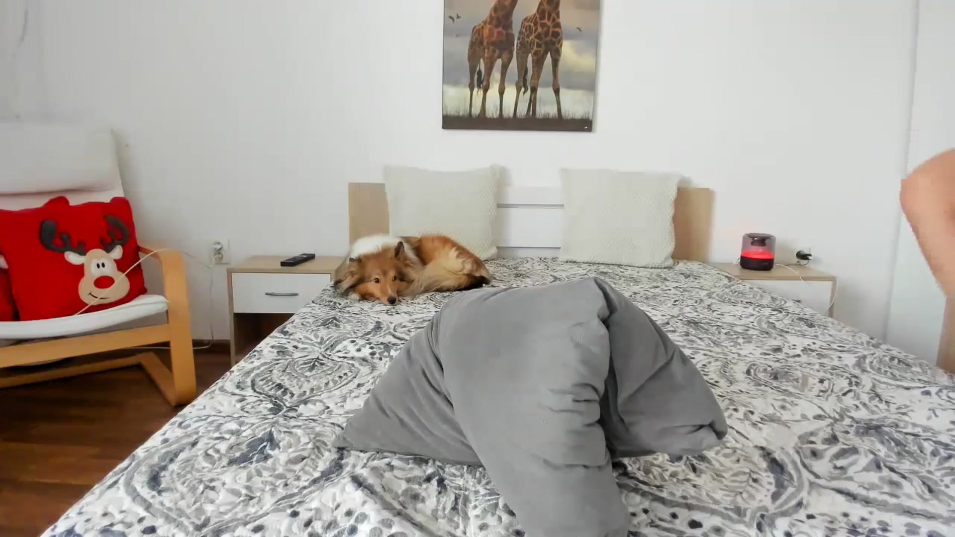 Gallery image thumbnail from Saandruskaa's myfreecams stream on, 12/09/2023, 10:59 image 19 of 20