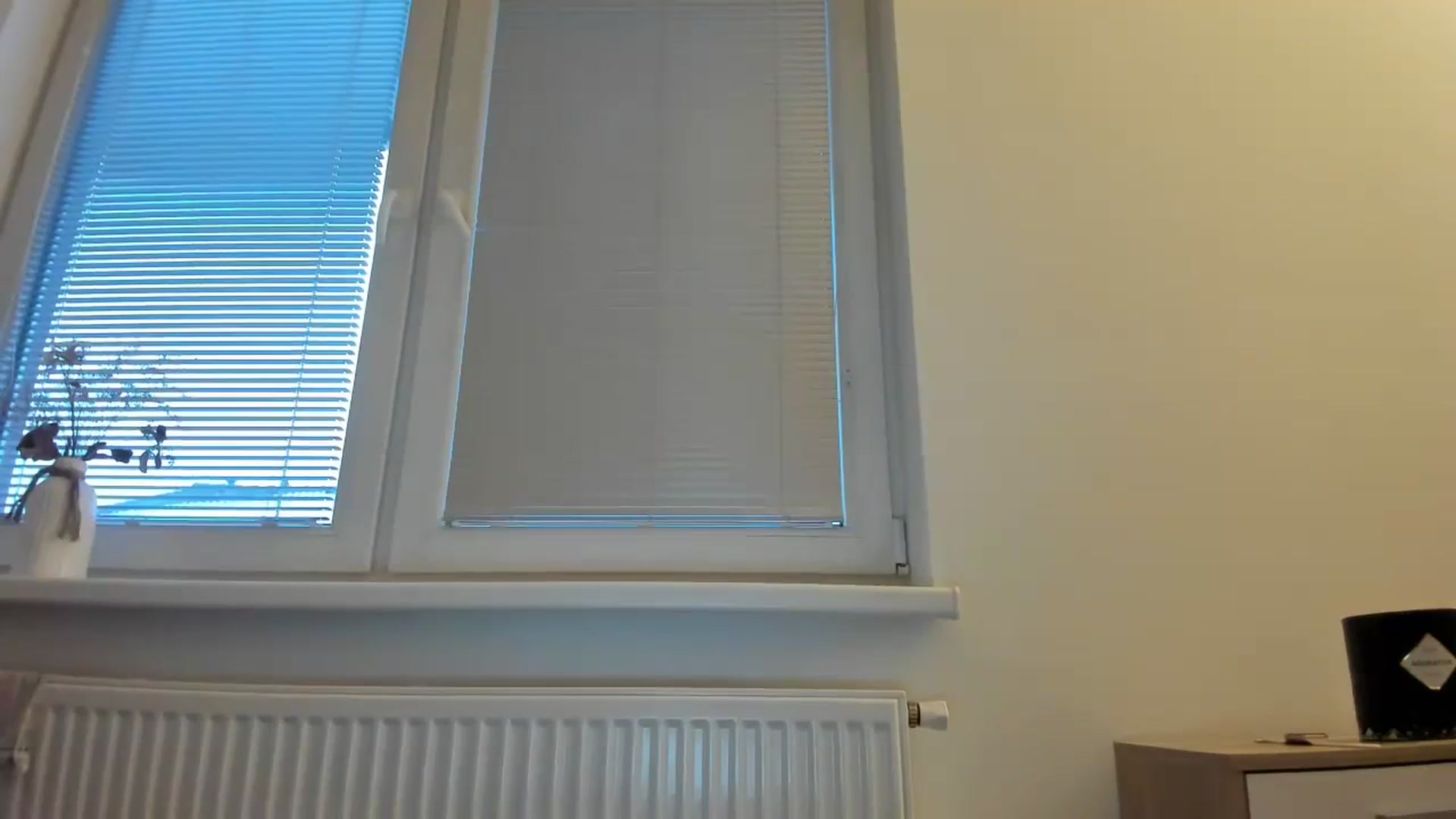 Gallery image thumbnail from Saandruskaa's myfreecams stream on, 12/10/2023, 15:31 image 12 of 20