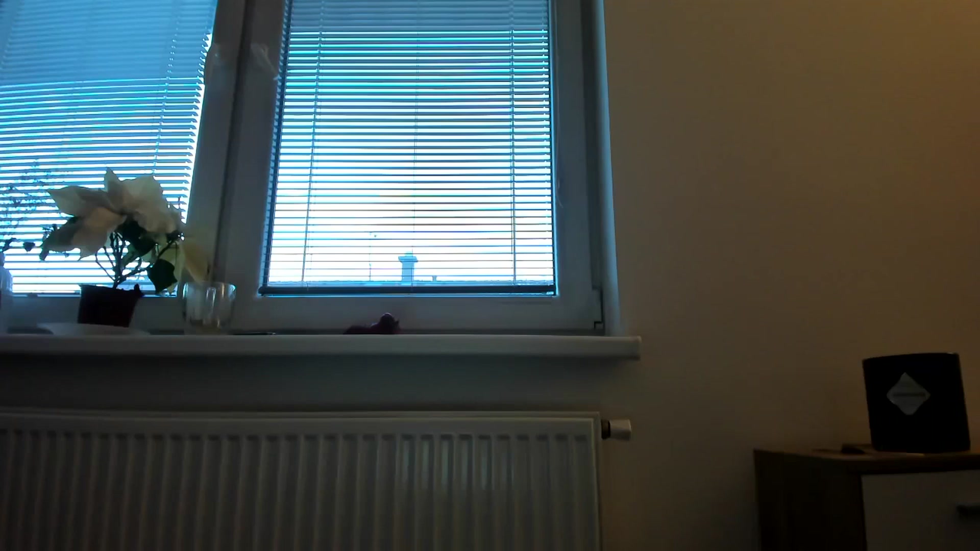 Gallery image thumbnail from Saandruskaa's myfreecams stream on, 12/12/2023, 14:45 image 16 of 20