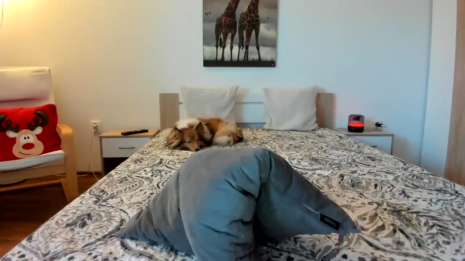 Gallery image thumbnail from Saandruskaa's myfreecams stream on, 12/12/2023, 14:45 image 11 of 20