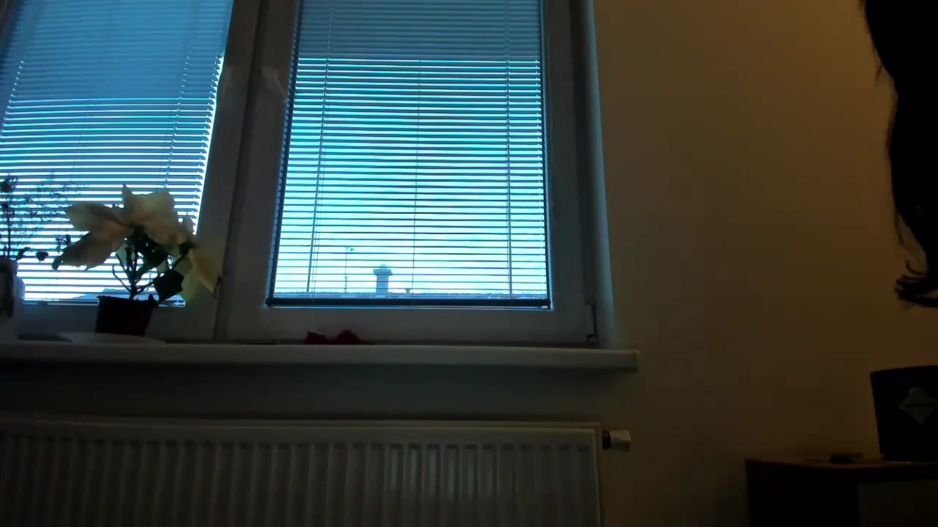 Gallery image thumbnail from Saandruskaa's myfreecams stream on, 12/12/2023, 14:45 image 19 of 20