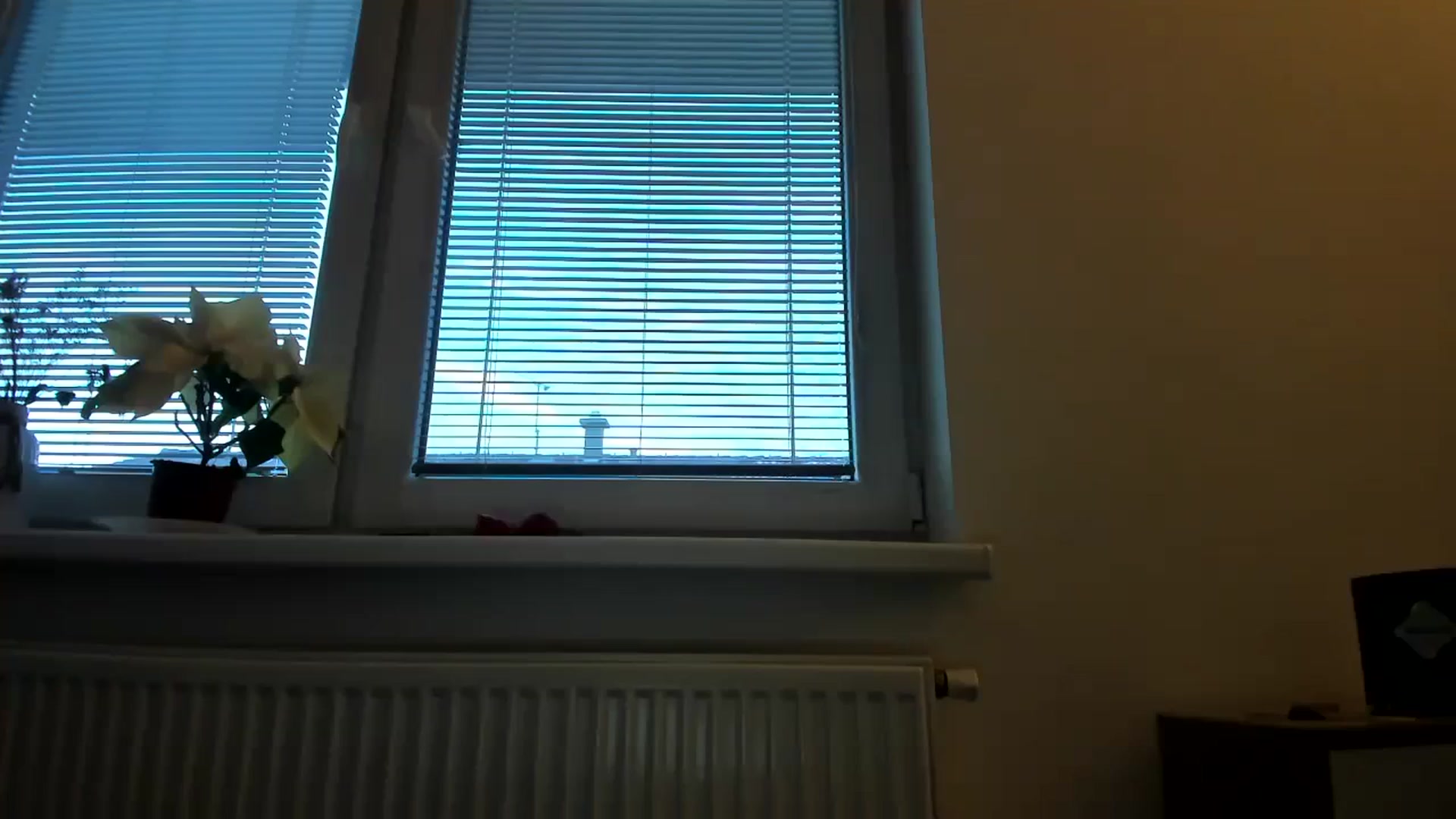 Gallery image thumbnail from Saandruskaa's myfreecams stream on, 12/12/2023, 14:45 image 18 of 20