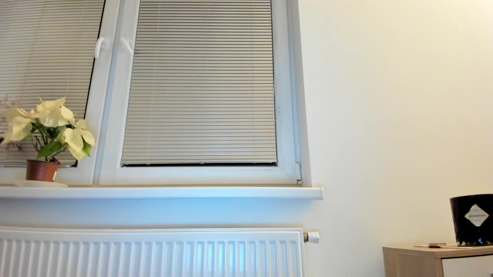 Gallery image thumbnail from Saandruskaa's myfreecams stream on, 12/12/2023, 15:53 image 14 of 20