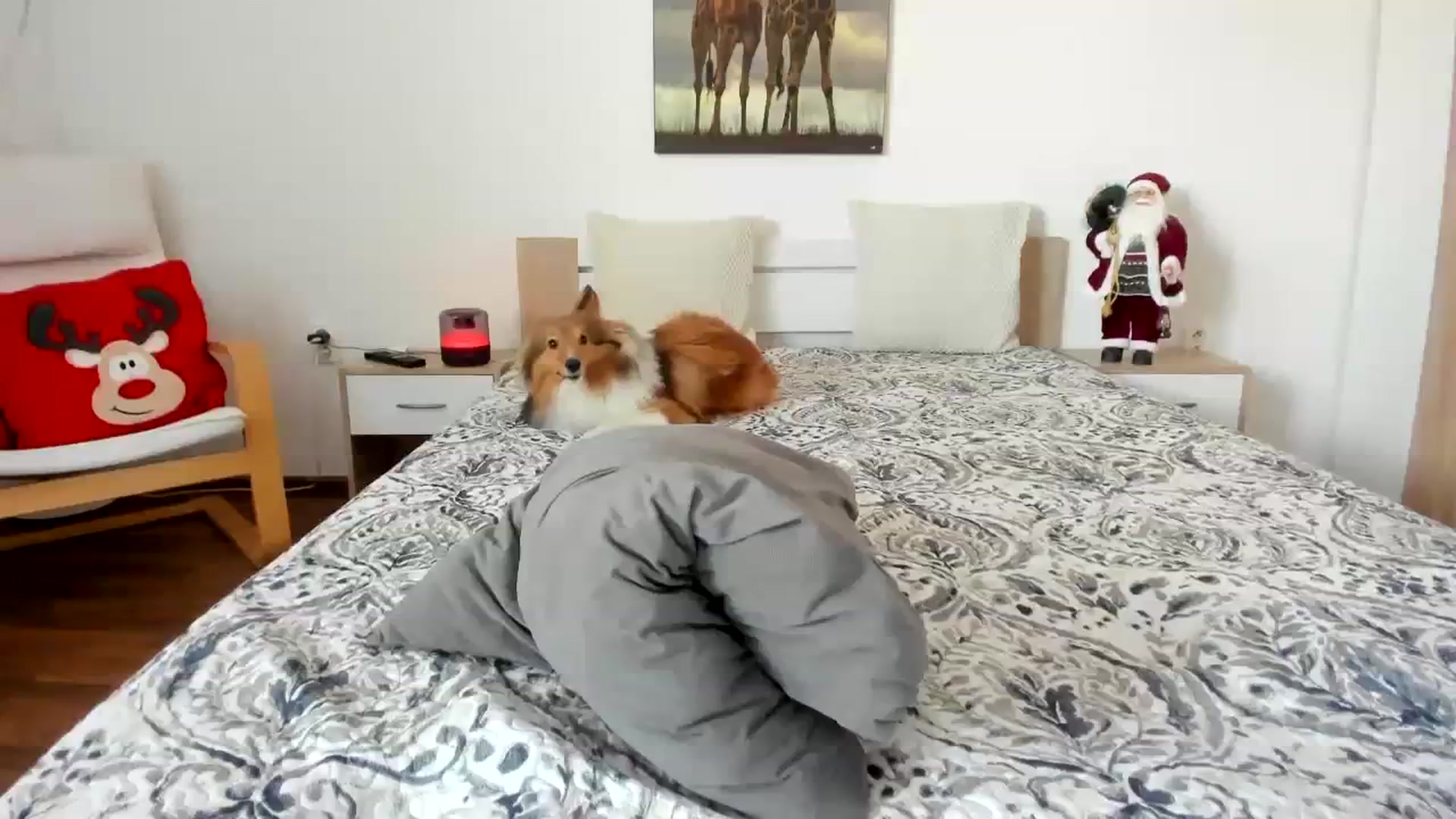 Gallery image thumbnail from Saandruskaa's myfreecams stream on, 12/16/2023, 13:12 image 12 of 20