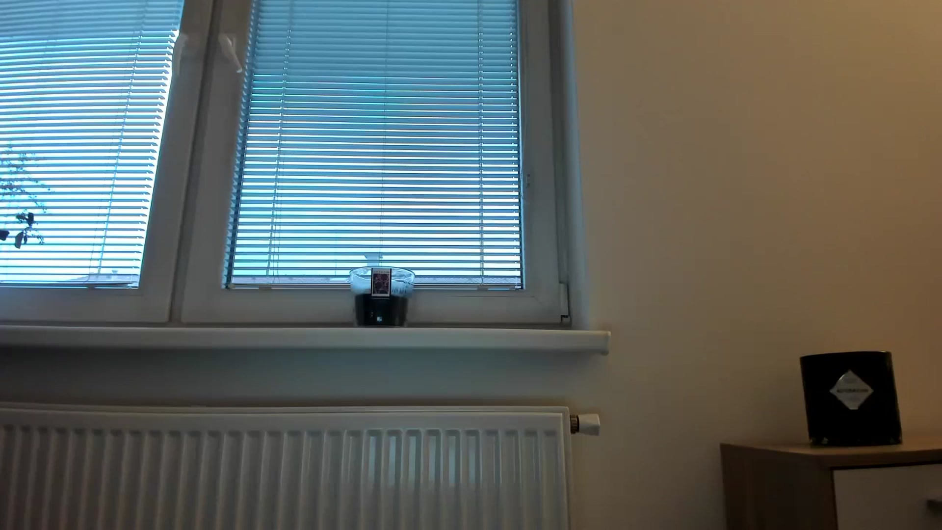 Gallery image thumbnail from Saandruskaa's myfreecams stream on, 12/16/2023, 14:46 image 19 of 20
