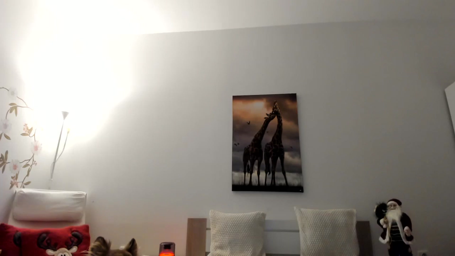 Gallery image thumbnail from Saandruskaa's myfreecams stream on, 12/16/2023, 16:11 image 1 of 20