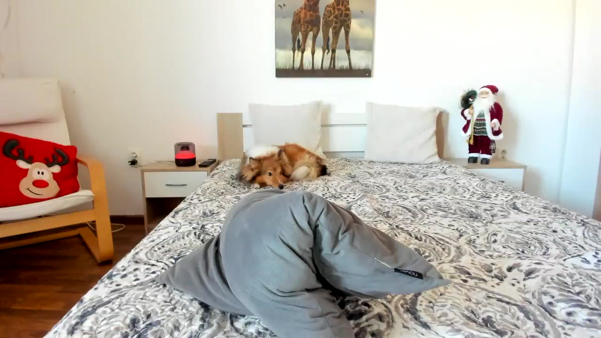 Gallery image thumbnail from Saandruskaa's myfreecams stream on, 12/17/2023, 13:02 image 2 of 20