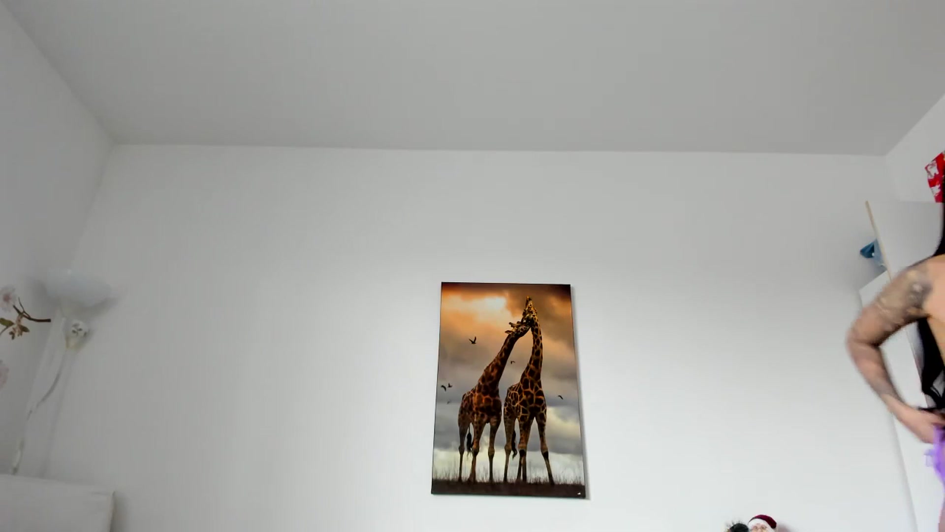 Gallery image thumbnail from Saandruskaa's myfreecams stream on, 12/19/2023, 13:44 image 10 of 20