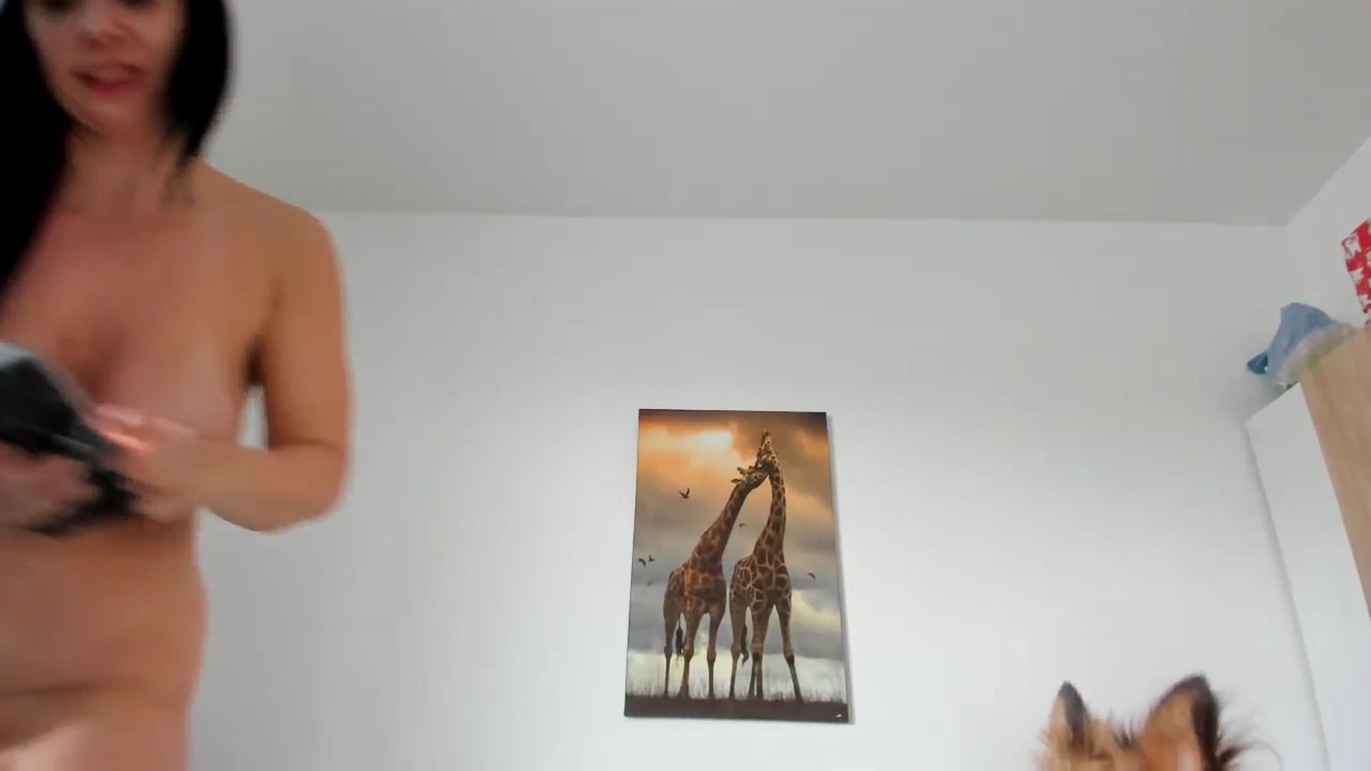 Gallery image thumbnail from Saandruskaa's myfreecams stream on, 12/19/2023, 13:44 image 9 of 20
