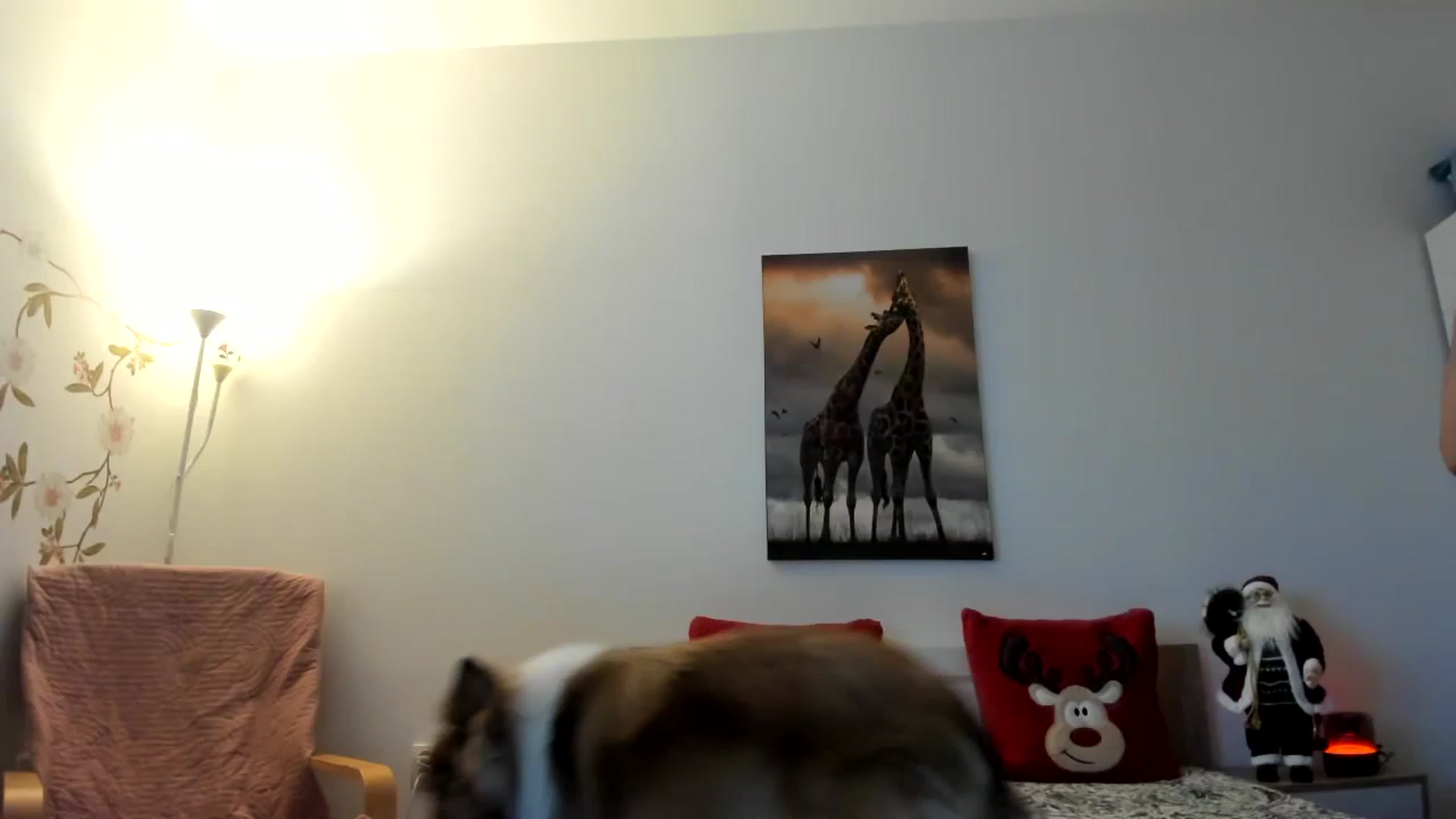 Gallery image thumbnail from Saandruskaa's myfreecams stream on, 12/23/2023, 14:52 image 6 of 20