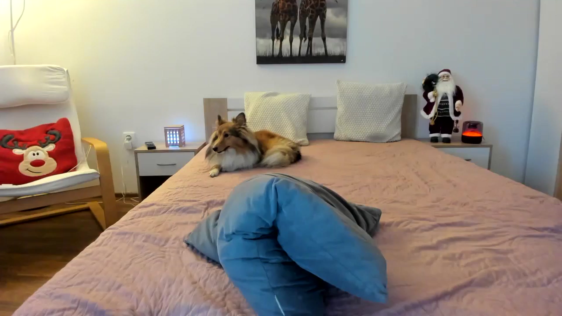 Gallery image thumbnail from Saandruskaa's myfreecams stream on, 12/26/2023, 13:01 image 20 of 20