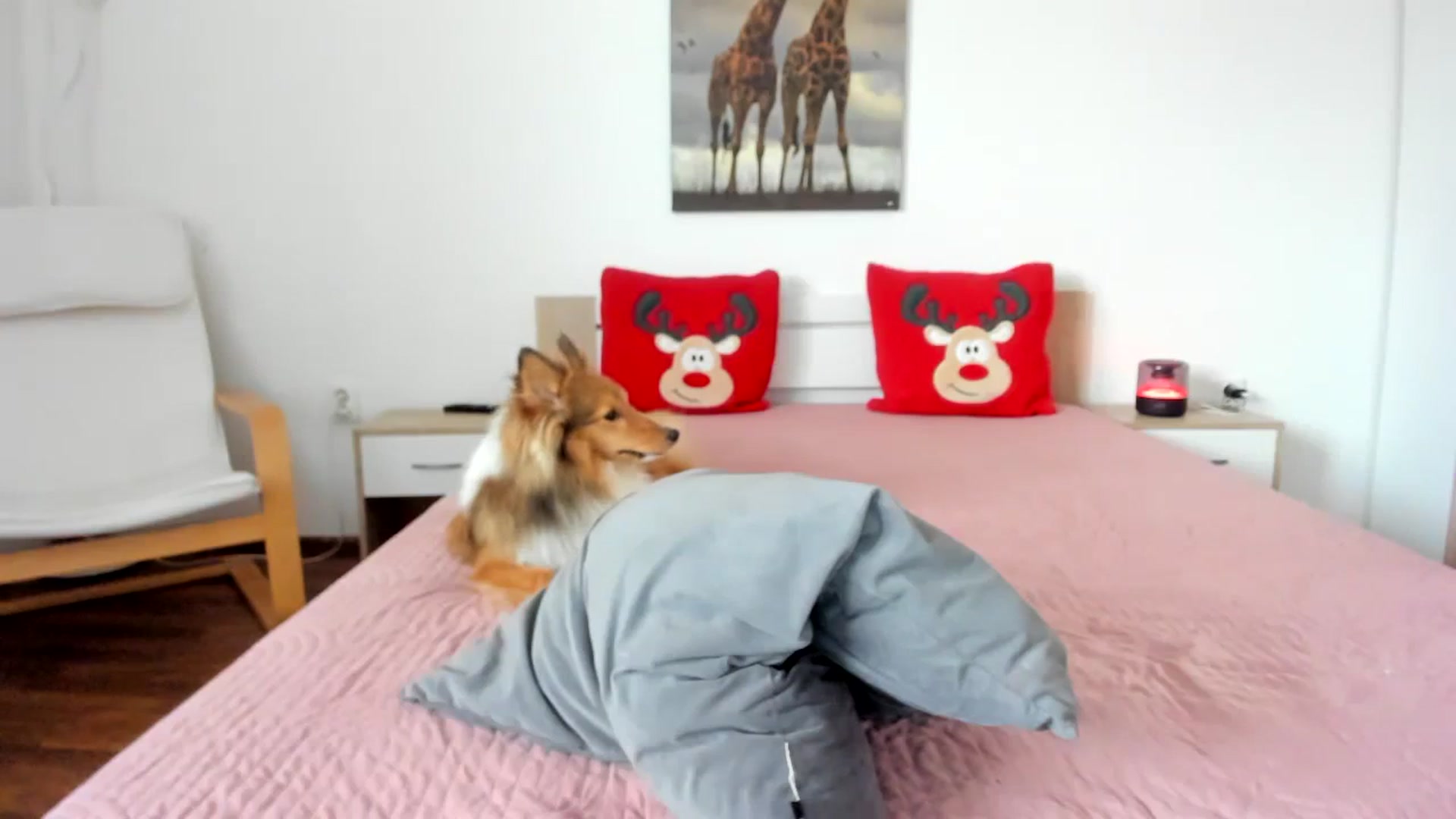 Gallery image thumbnail from Saandruskaa's myfreecams stream on, 12/31/2023, 11:12 image 14 of 20