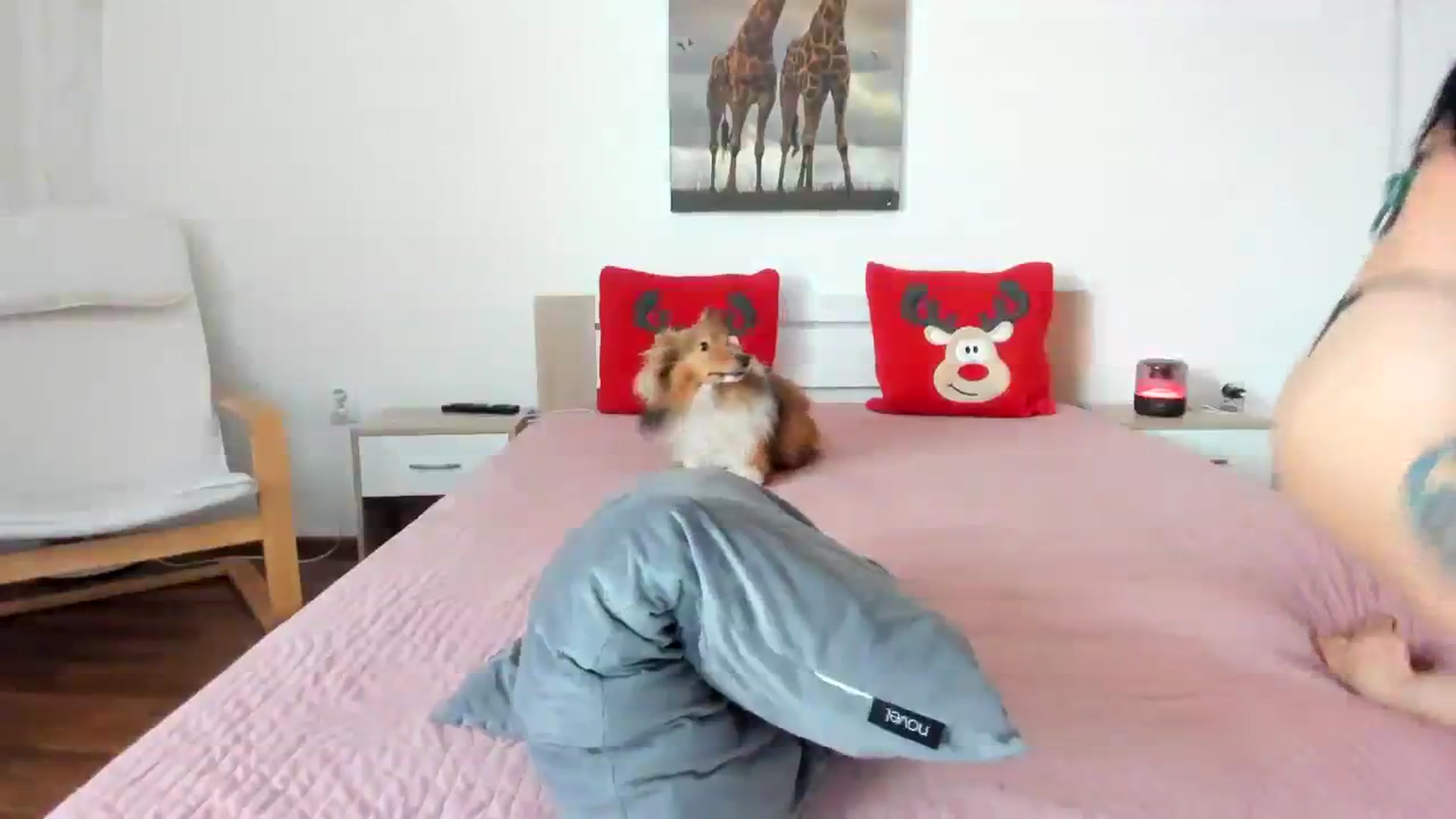Gallery image thumbnail from Saandruskaa's myfreecams stream on, 12/31/2023, 11:12 image 9 of 20