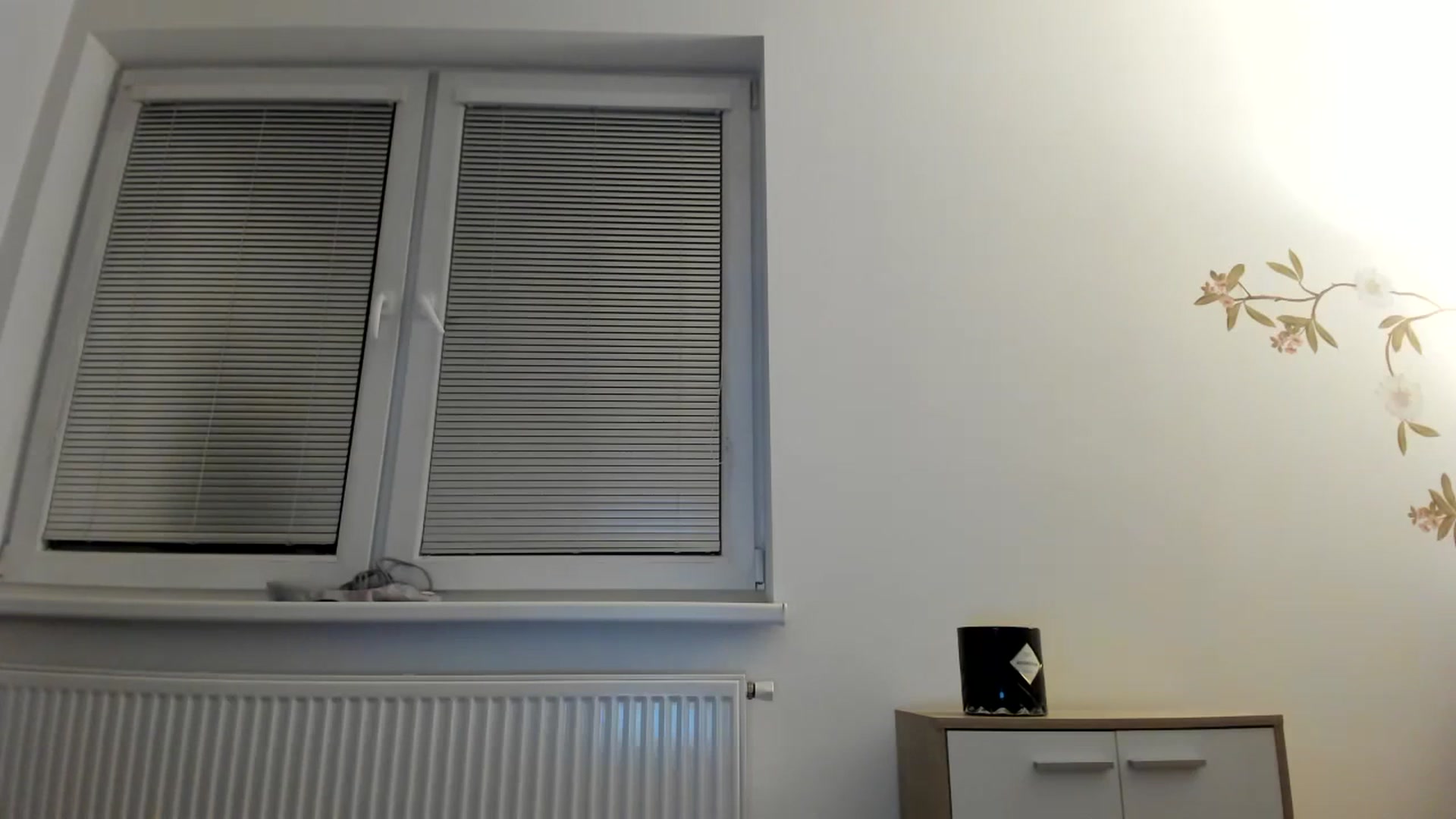 Gallery image thumbnail from Saandruskaa's myfreecams stream on, 01/04/2024, 17:05 image 20 of 20