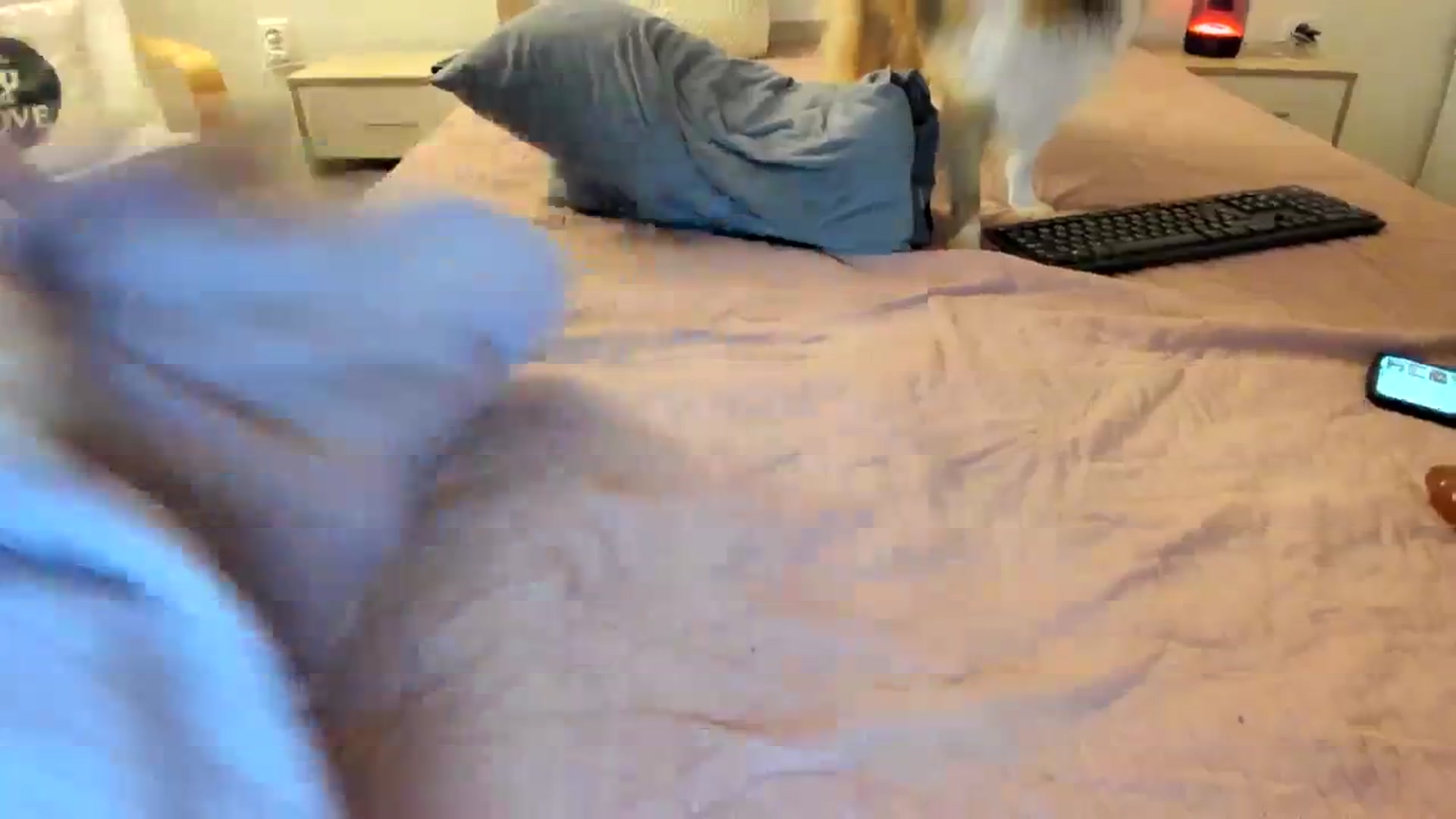 Gallery image thumbnail from Saandruskaa's myfreecams stream on, 01/07/2024, 16:57 image 14 of 20